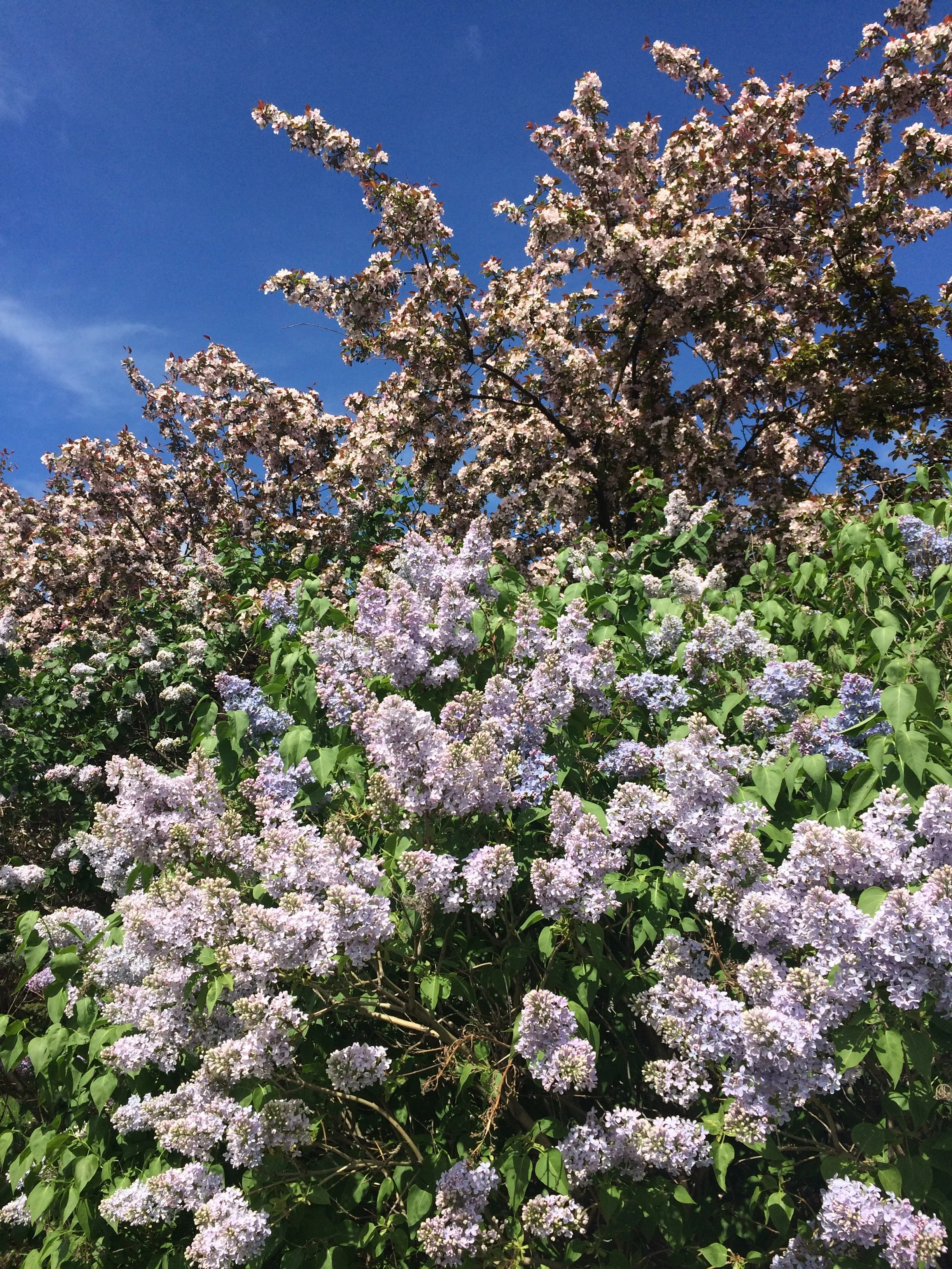 Spring 4 - Seasonal Retreats Collection Blank Greeting Card