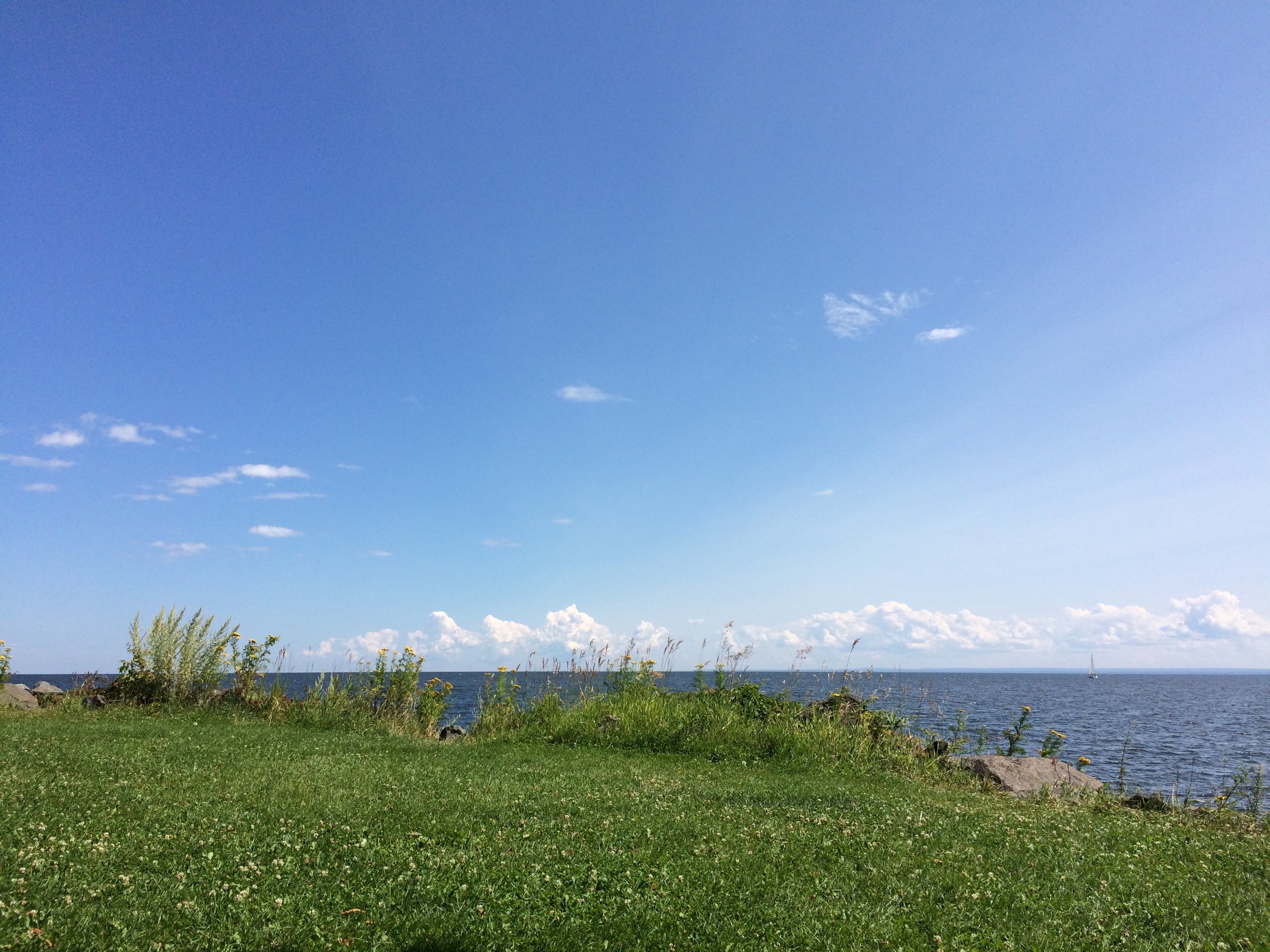 Summer 4 - Seasonal Retreats Collection Blank Greeting Card