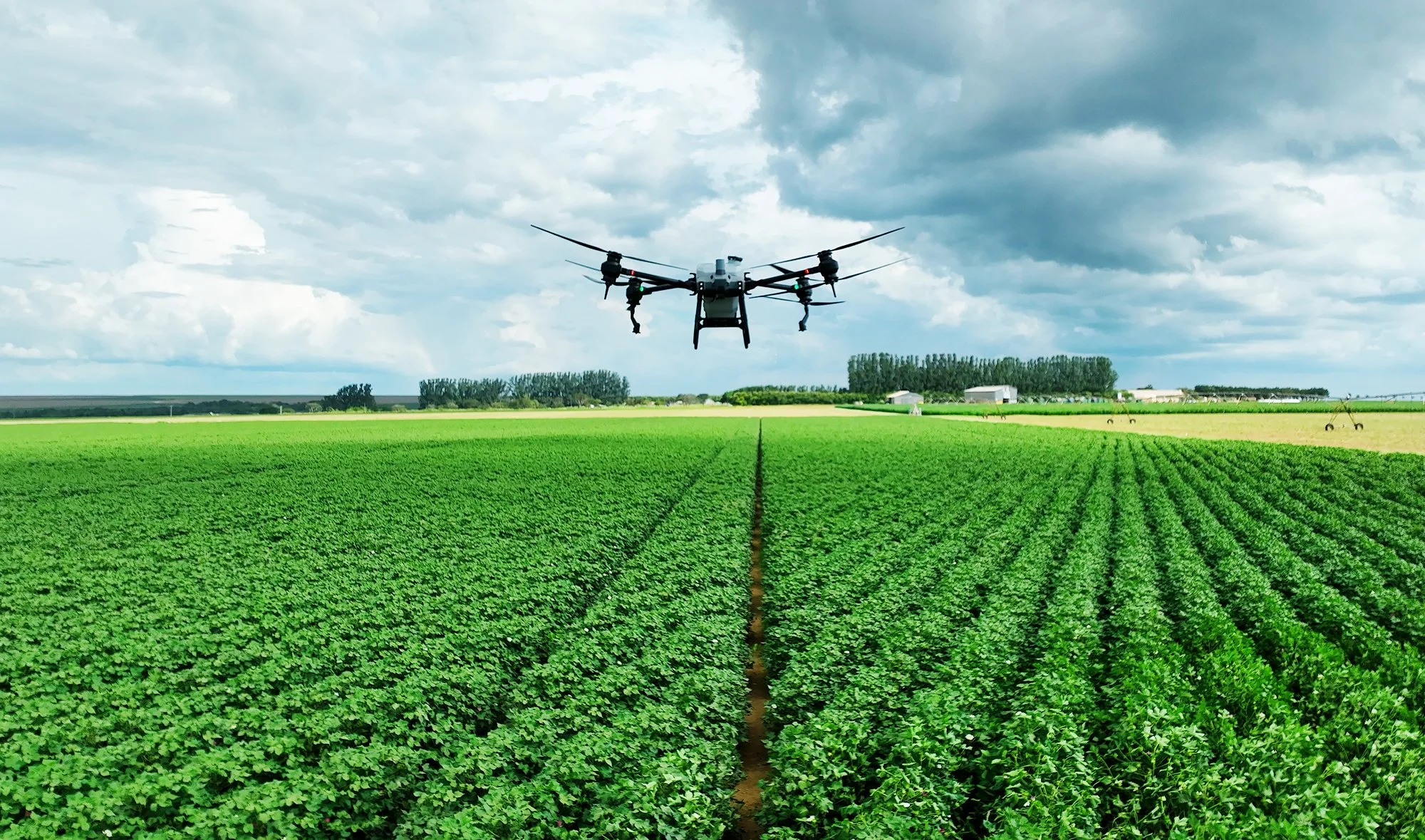 Aplicação Otimizada