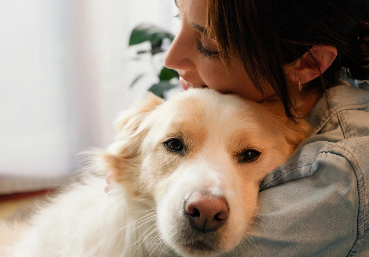Emotional Support Animals: What They Do, How to Qualify and Where They’re Protected