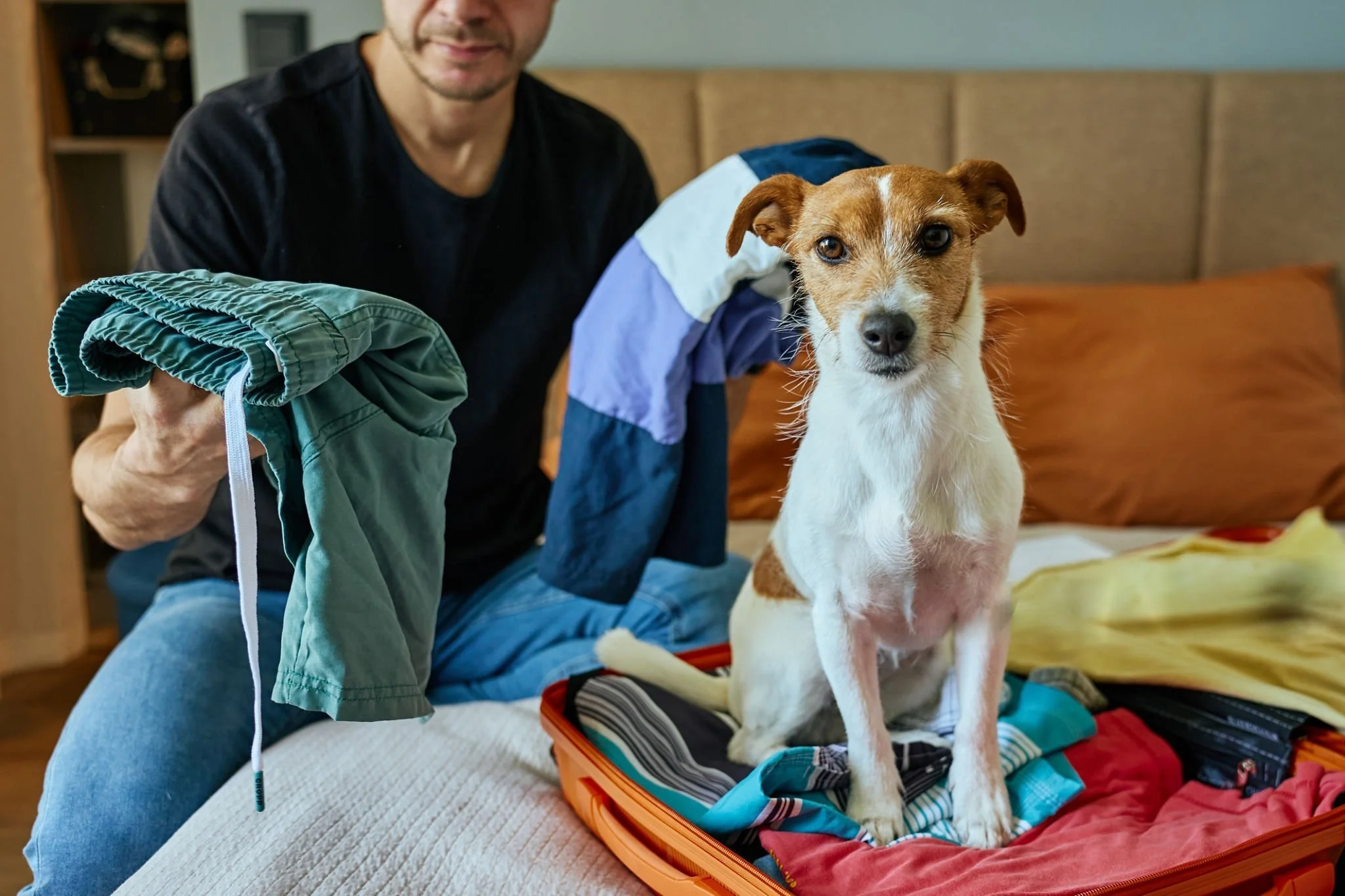 Dog Travel Checklist: Prep Guide for Sitters and Peace of Mind ...