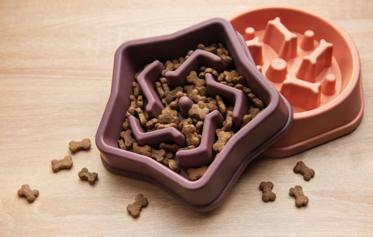 Two colorful slow feeder bowls, one purple and one coral, filled with small bone-shaped dry dog food pieces.