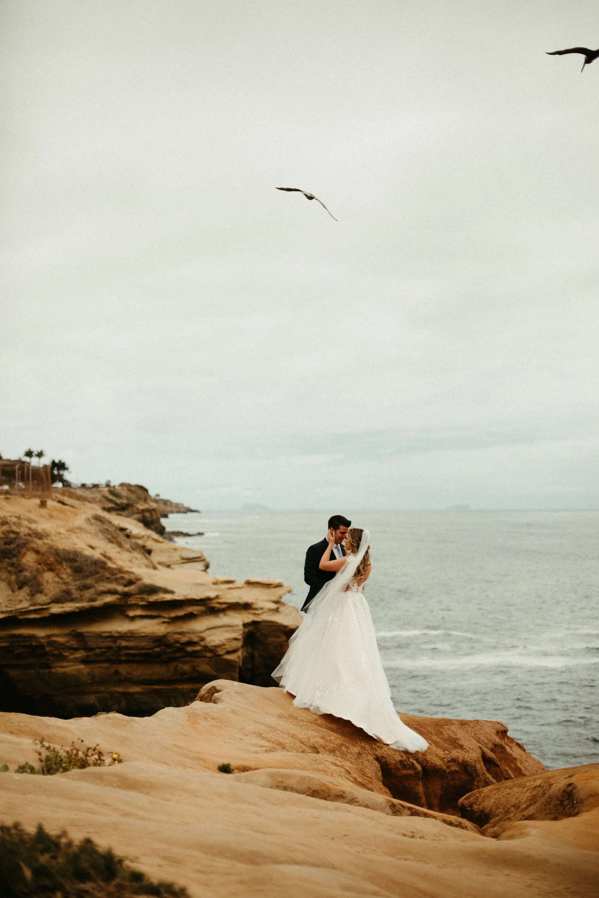A bride and groom sharing a kiss on a rocky cliff overlooking the ocean, with seagulls flying in the sky.