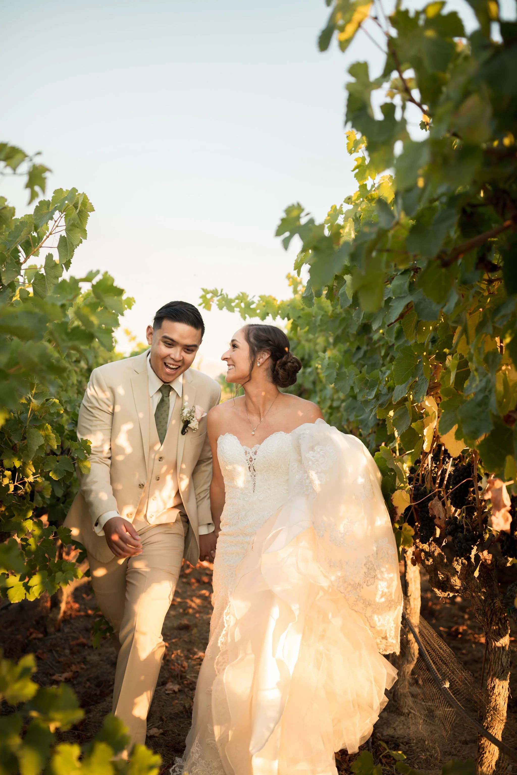 Bride and groom walking through a vineyard on their wedding day, laughing and holding hands during sunset.
