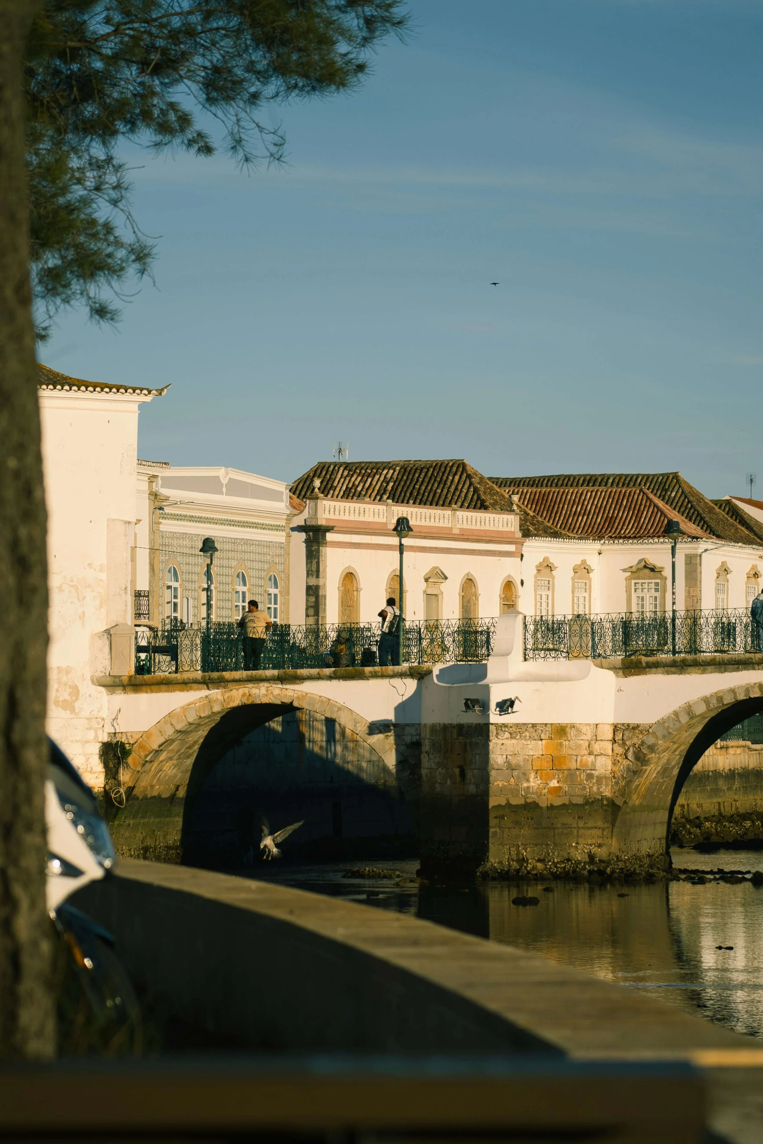 Home physiotherapy in Tavira – Expert care delivered directly to you.