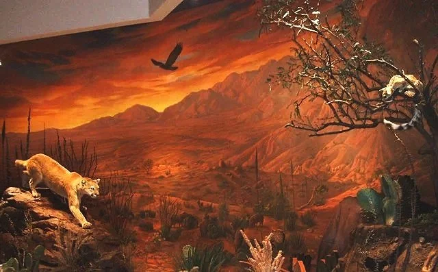 Diorama. Tech-2O El Paso, Texas. Joan did all the research and heavy lifting on this mural. I was the painter. We started at both ends and met in the middle. 
