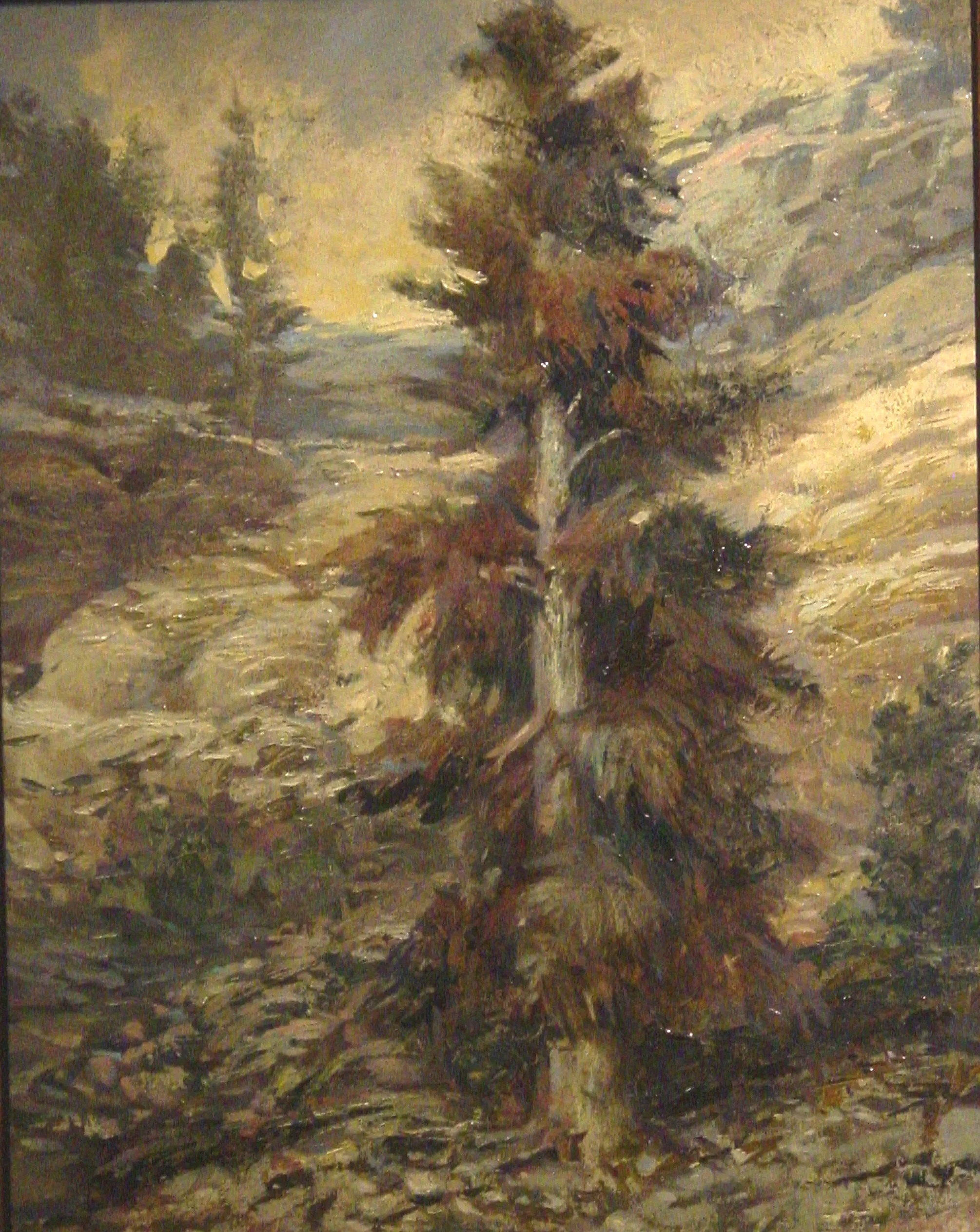 "Tree in the Rockies" Plein Air. Oils on masonite board. 2003.