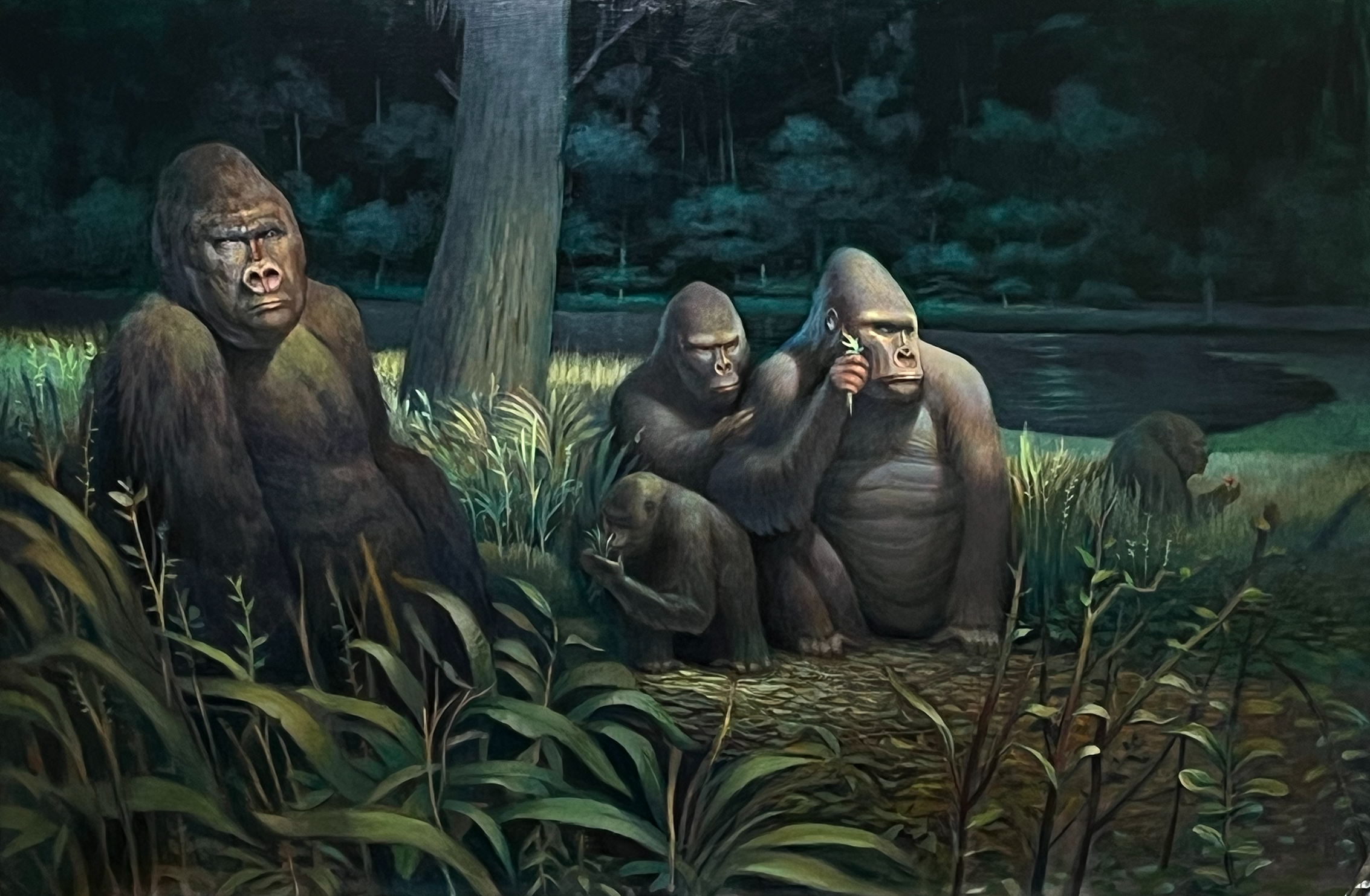 "Mountain Gorilla Family in the Forest" Acrylics on masonite. 2024. Years ago I started some drawings at the Denver Zoo, then began this painting, but got distracted. Found it in a storage room last year, and I thought it would be a good exercise to 