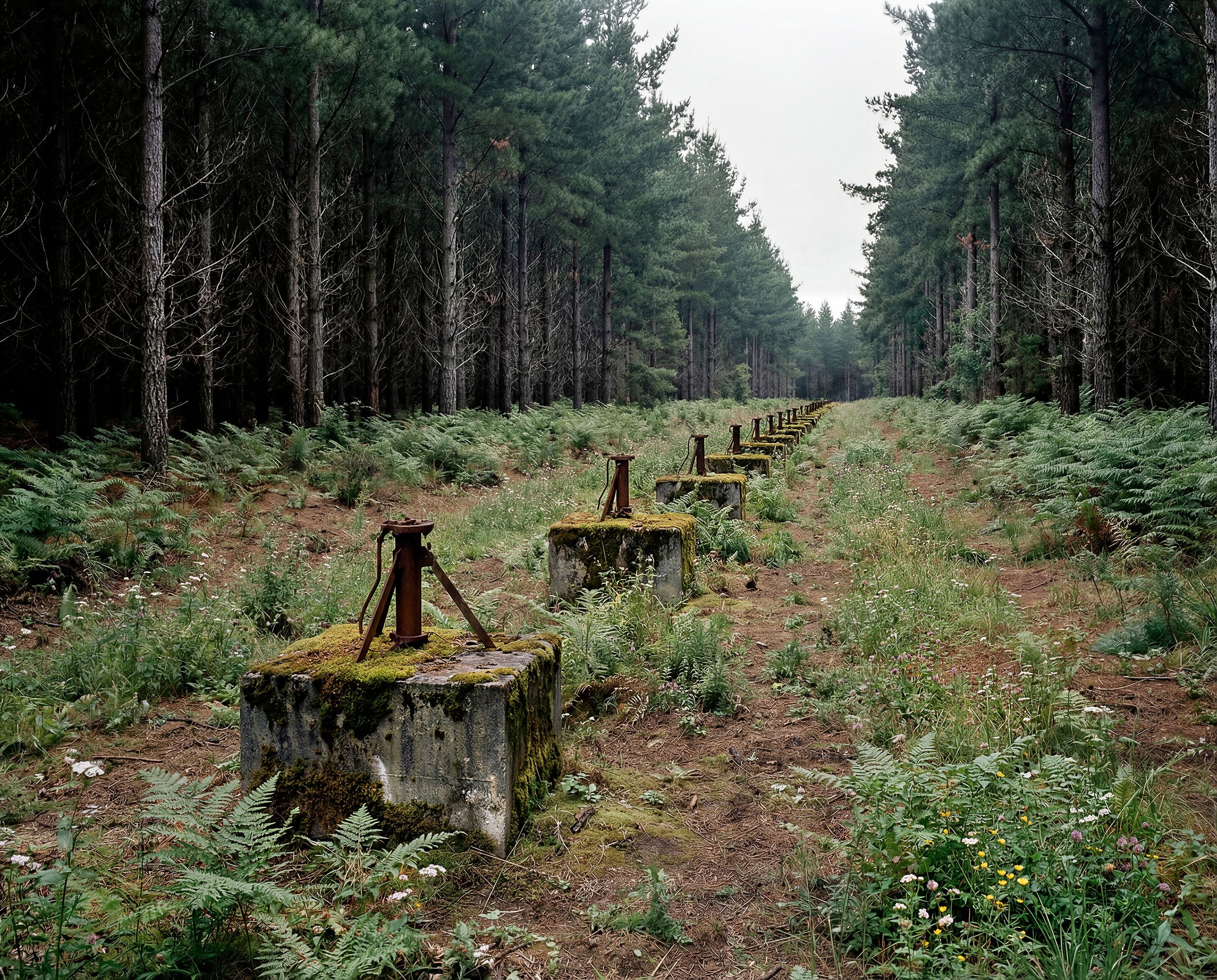 Ruined Geophone, Forest Sector, Array 02.jpg
