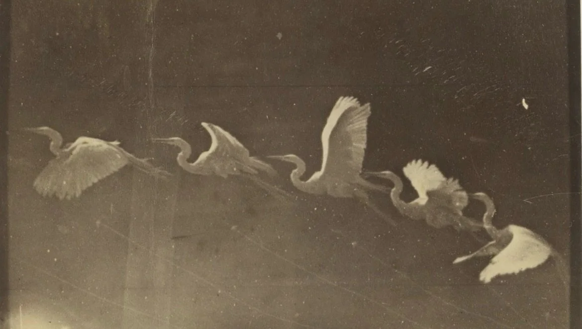 via @hauteville_paris