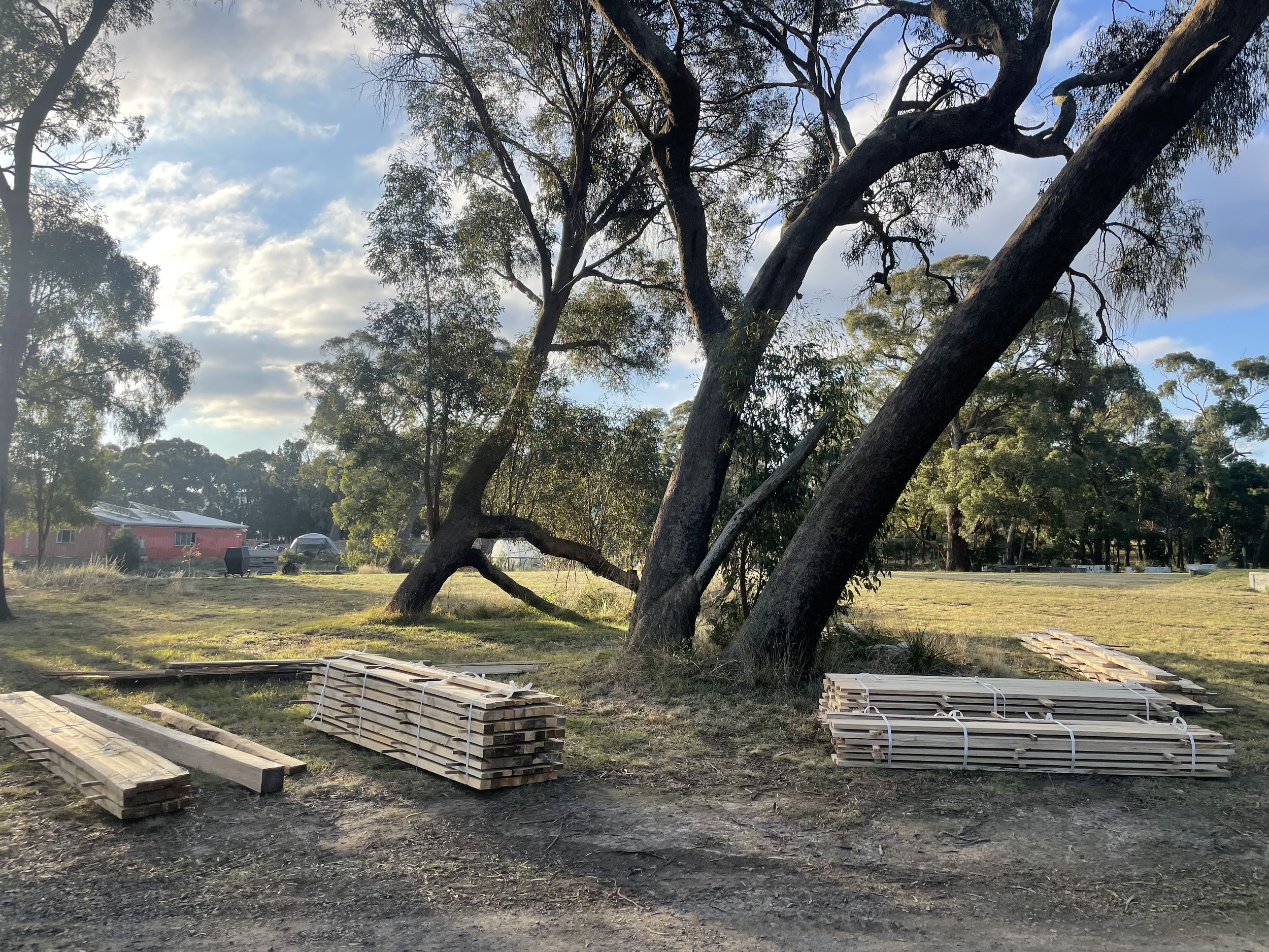 timber and trees.jpeg