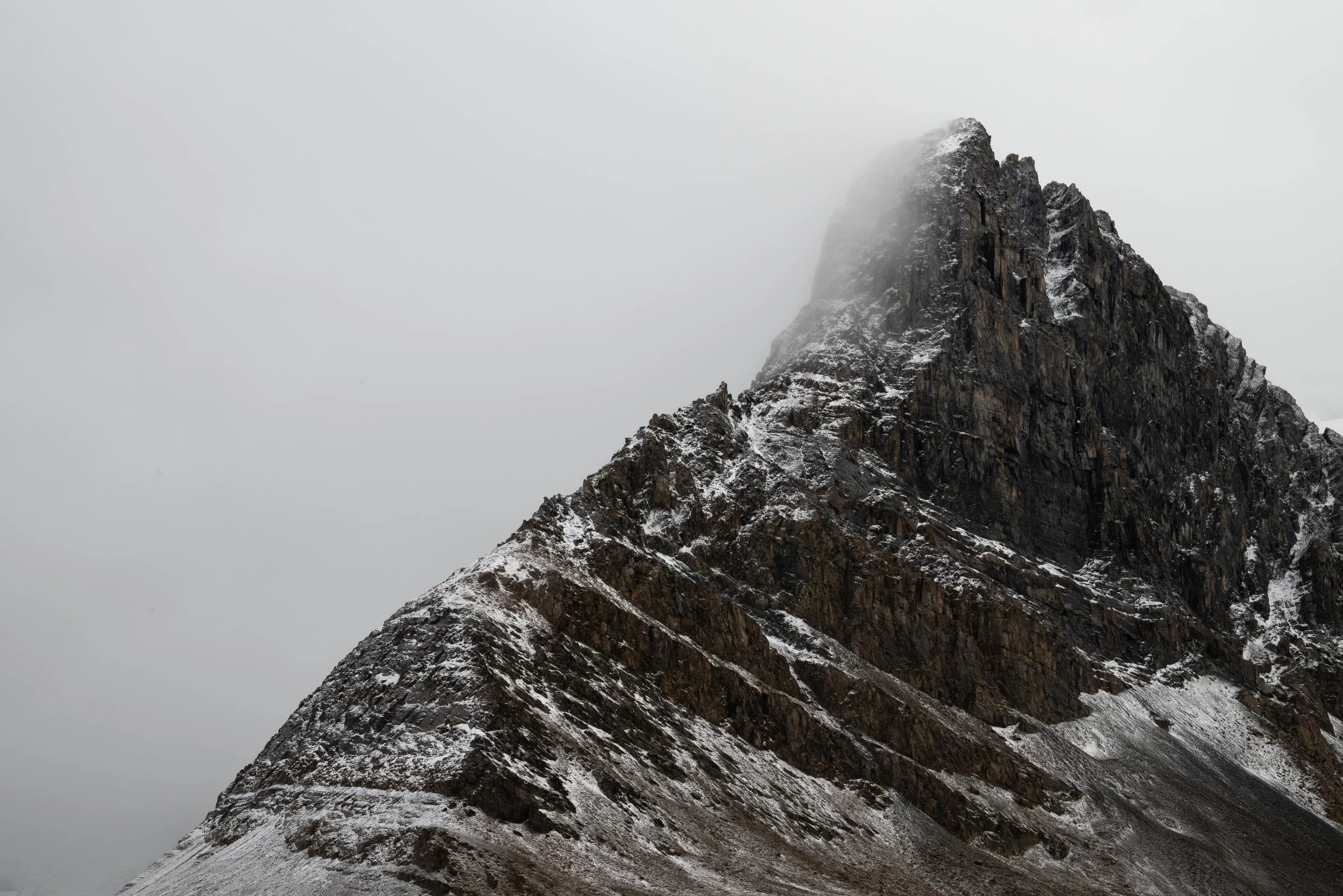 DSC_4334.jpg
