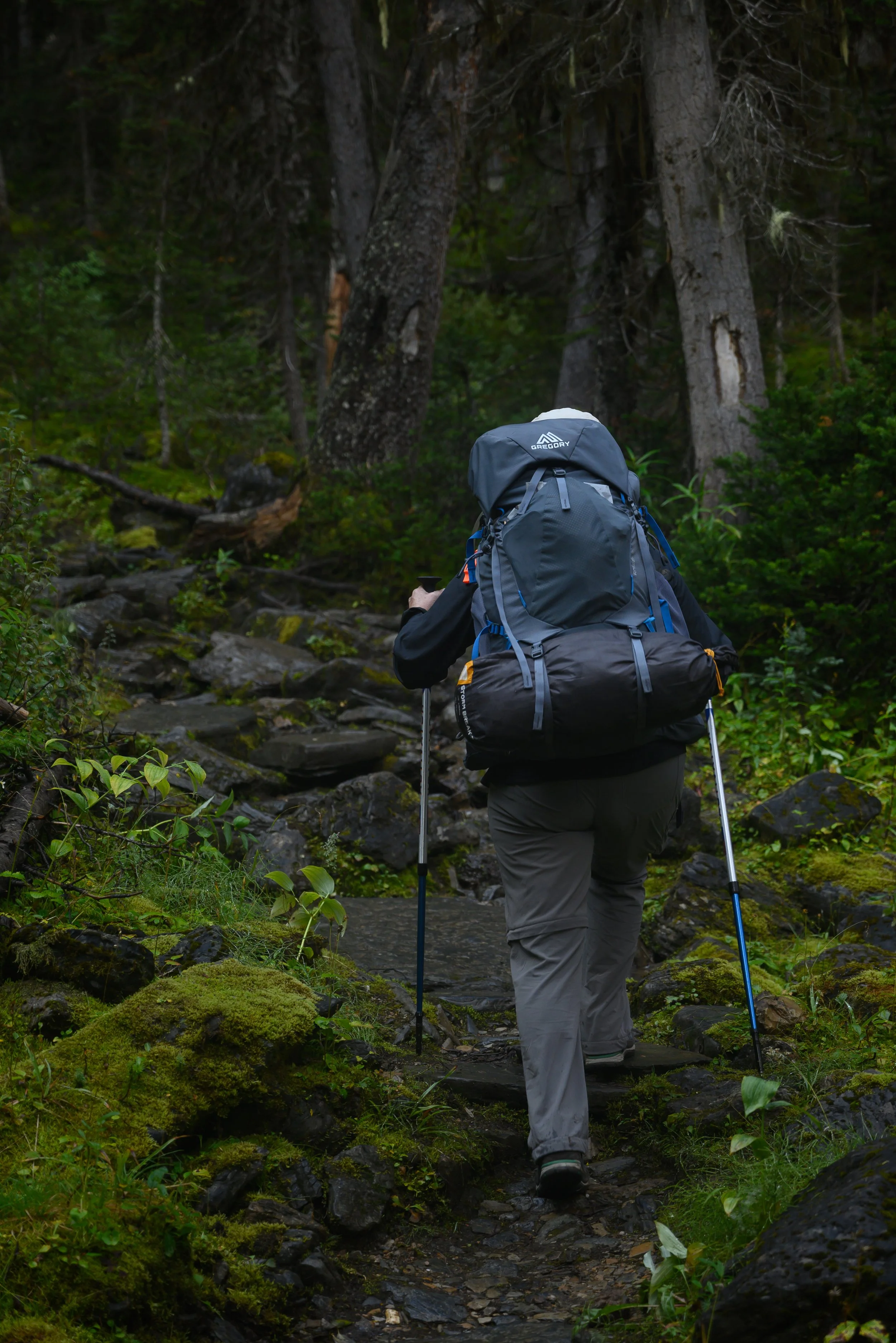 DSC_4099.jpg