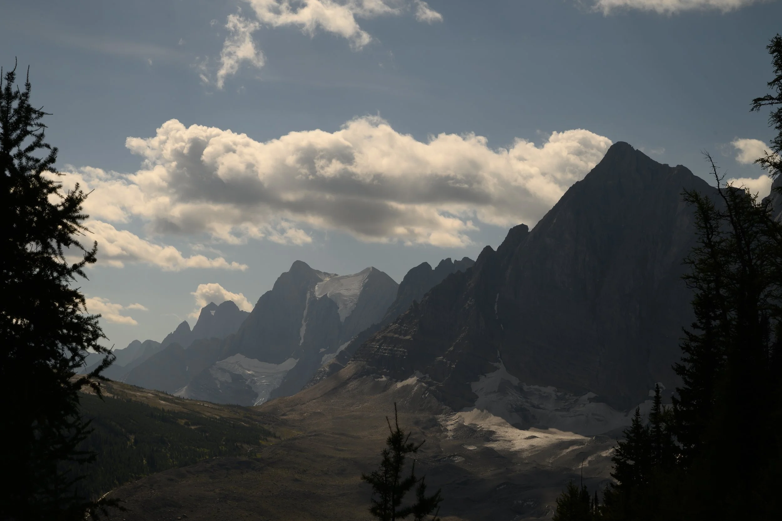 DSC_4137.jpg