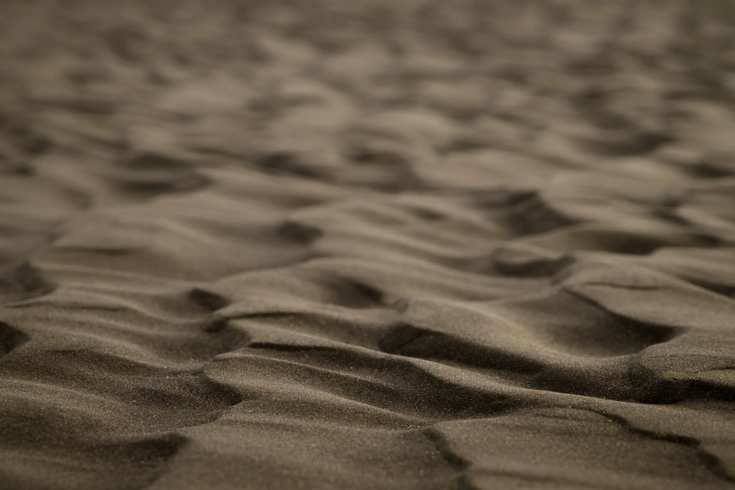 DSC_6871.jpg
