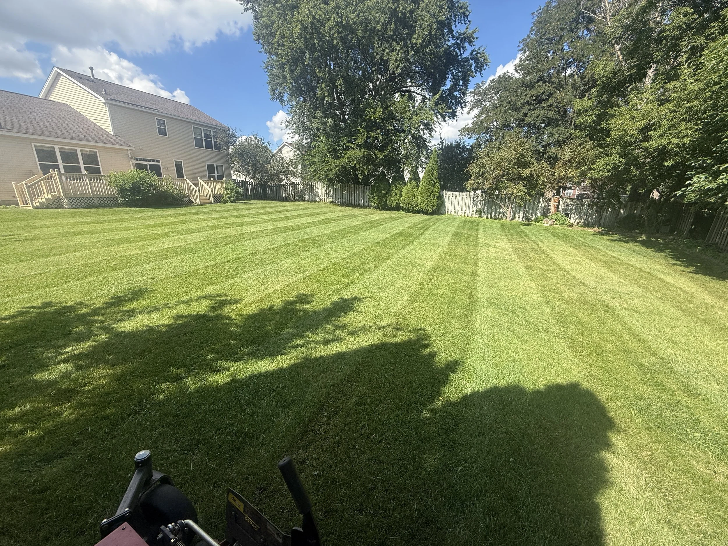 Yard cleanup service in Rosemount MN by KvD Lawncare