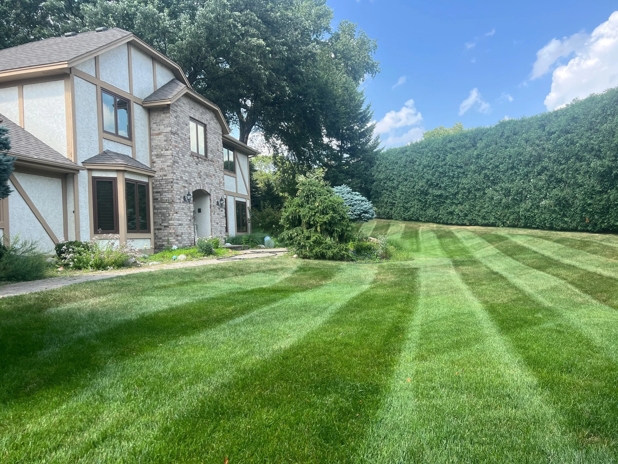Lawn care results in Burnsville MN by KvD Lawncare