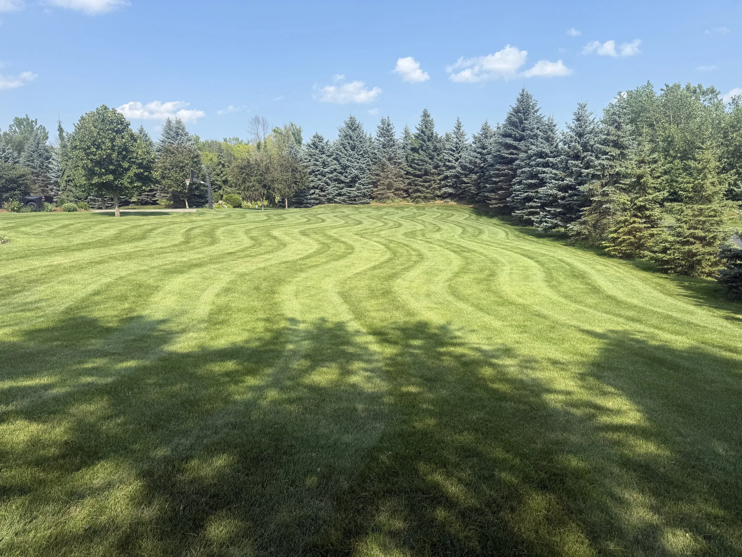 5 star Google reviews for KvD Lawncare and Landscaping in Lakeville MN