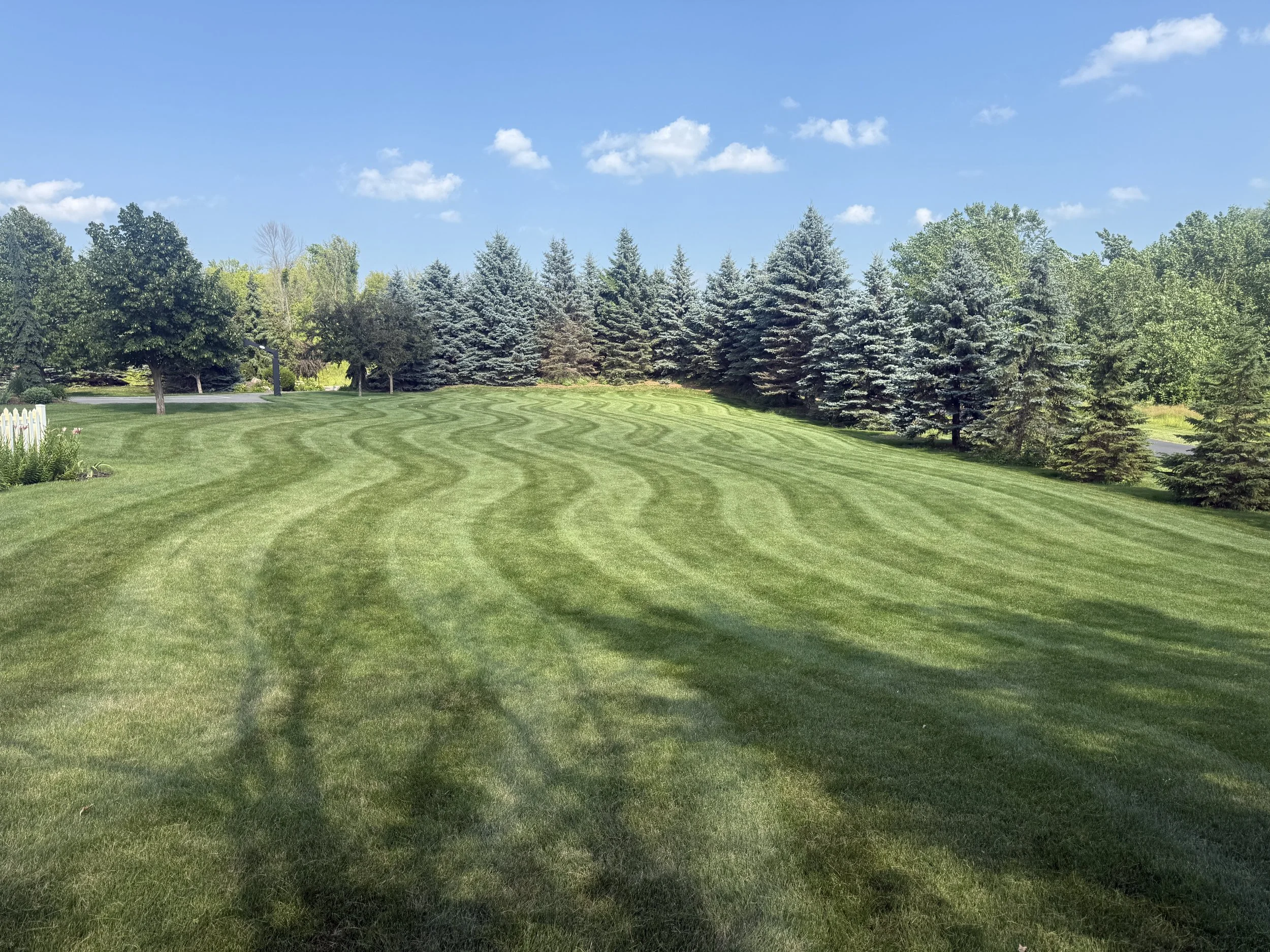 Lawn mowing results in Lakeville MN by KvD Lawncare