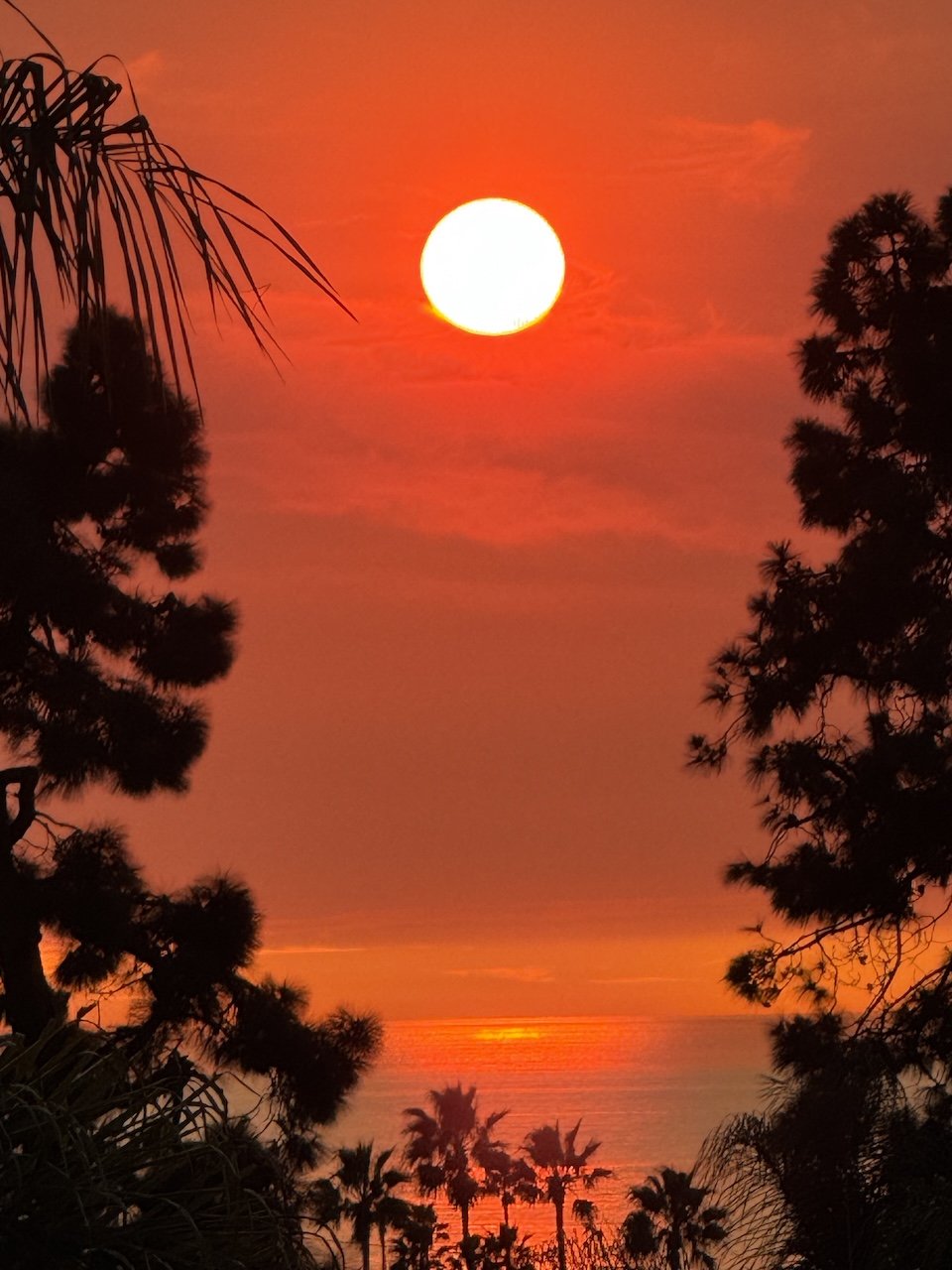 What to Expect on Closing Day—And How to Move Forward Gracefully