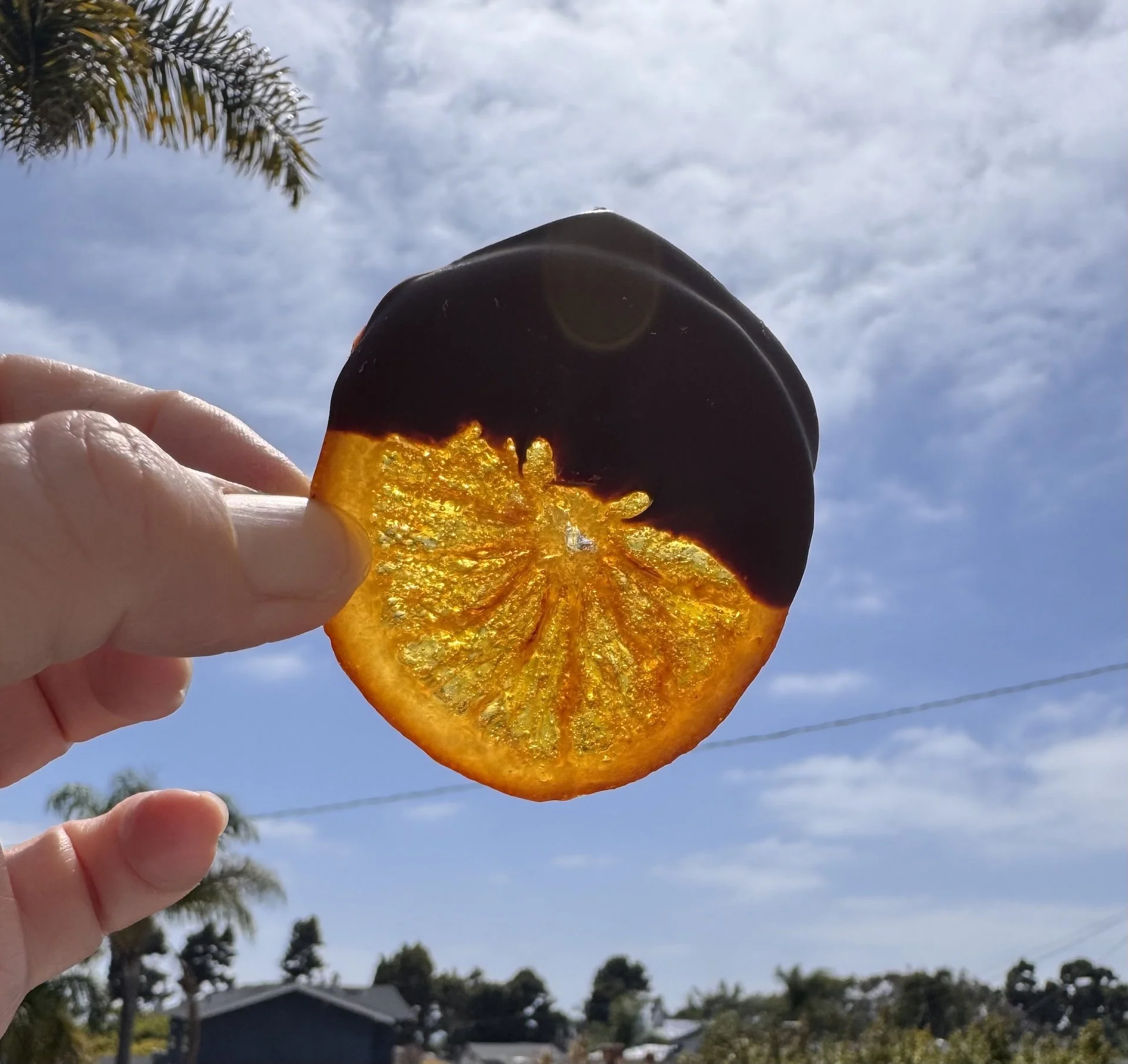 Chocolate Dipped Candied Blood Orange