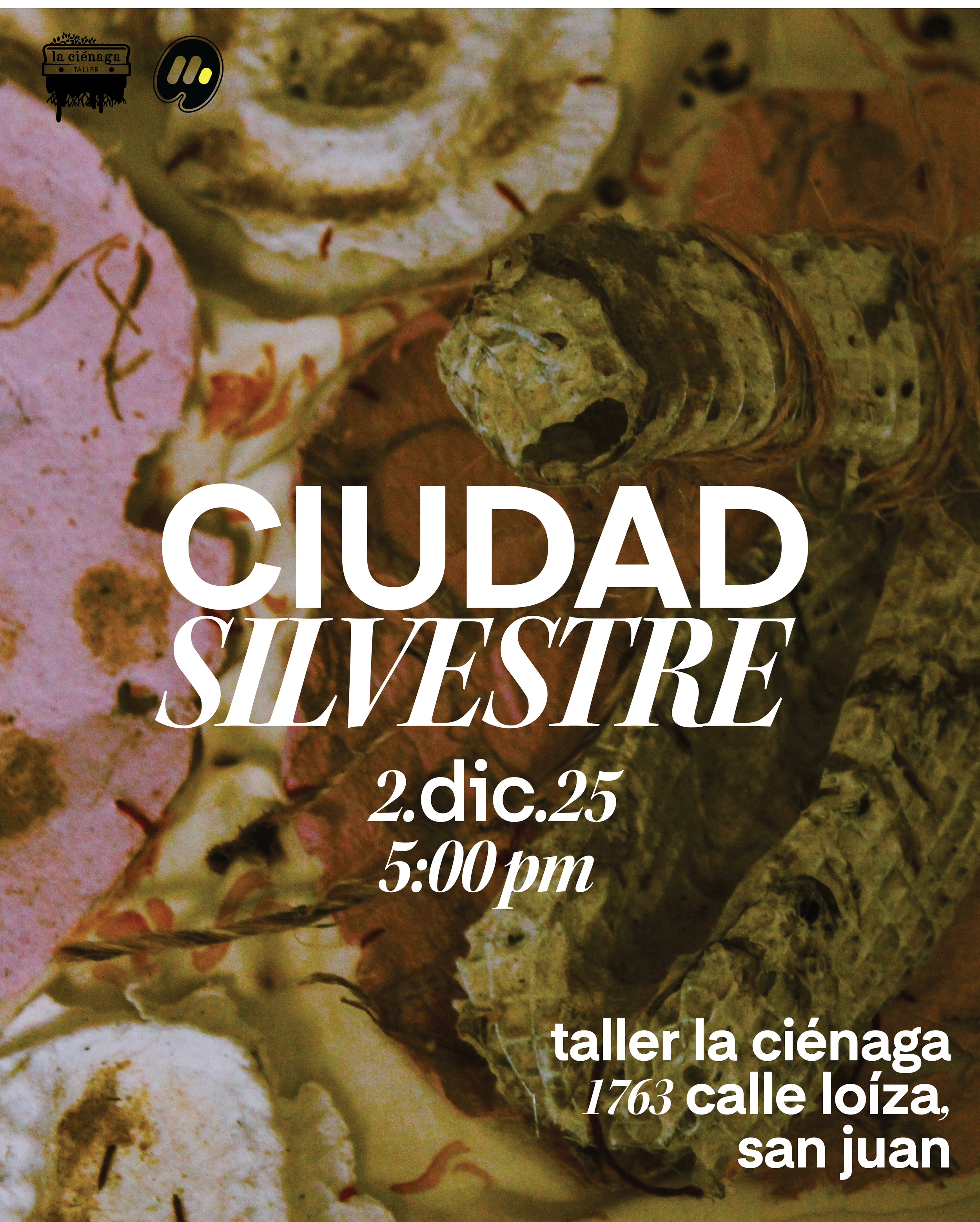 promo2dic.png