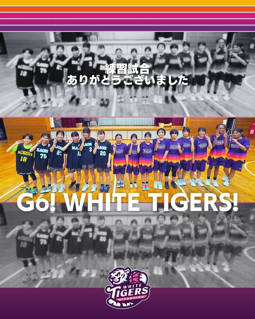 @yoshikawa_blacks さん、練習試合ありがとうございました！
またぜひよろしくお願いします🏀

────────────
宮代ホワイトタイガースでは、体験や見学の受け付けています🏀🙌
部活ではちょっと物足りない、バスケをもう少しだけ本格的にやってみたい&hellip;！そんなあなたの体験申し込みを待ってます👍

お申し込みはプロフリンク🔗から
公式ウェブサイトもぜひご覧ください📝

練習試合のお誘い等も大歓迎です🏀🏃&zwj;♀️

#u15女子バスケ #u15女子