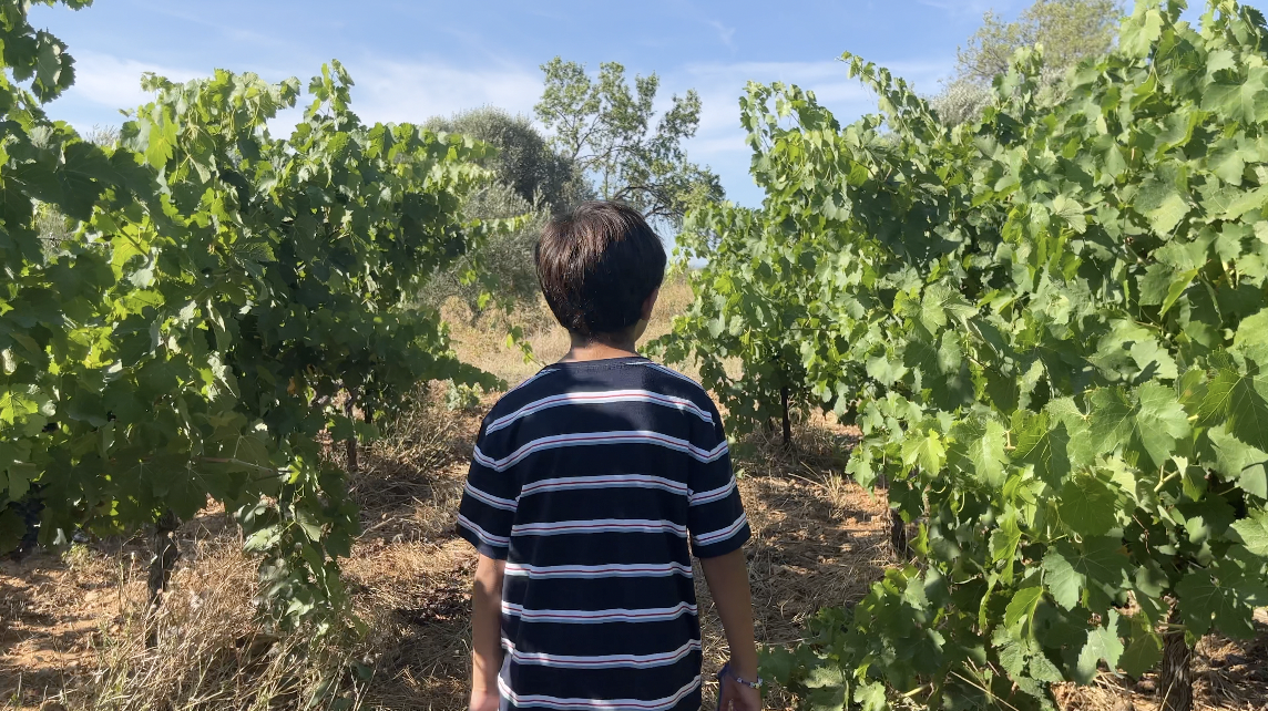 Screen Shot 2025-06-05 at 3.06.21 PM.png