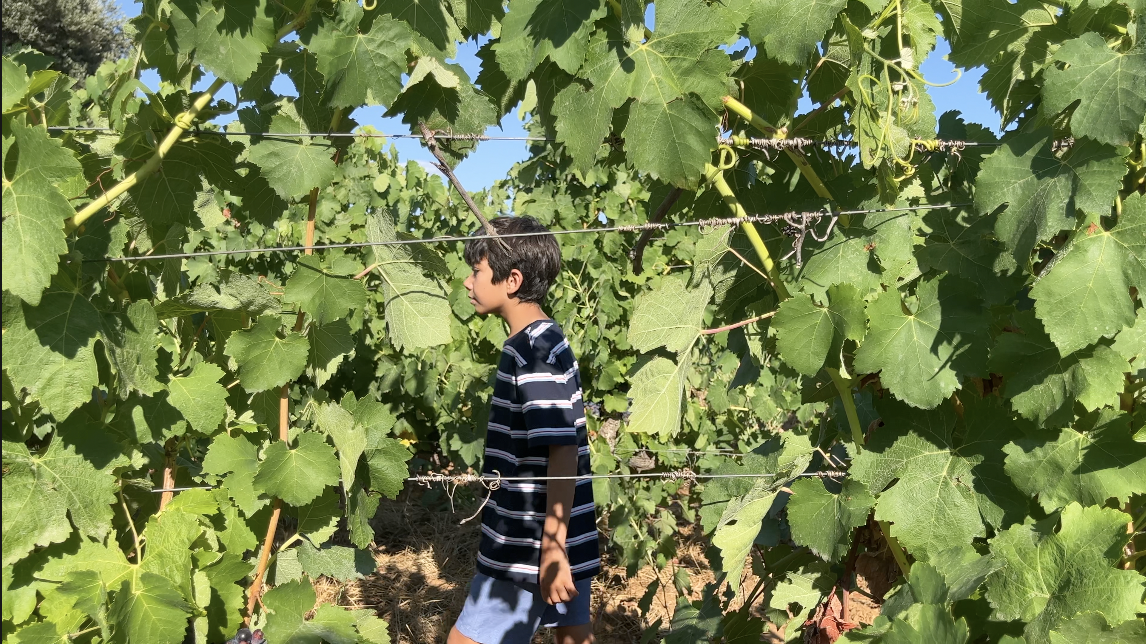 Screen Shot 2025-06-05 at 3.04.16 PM.png