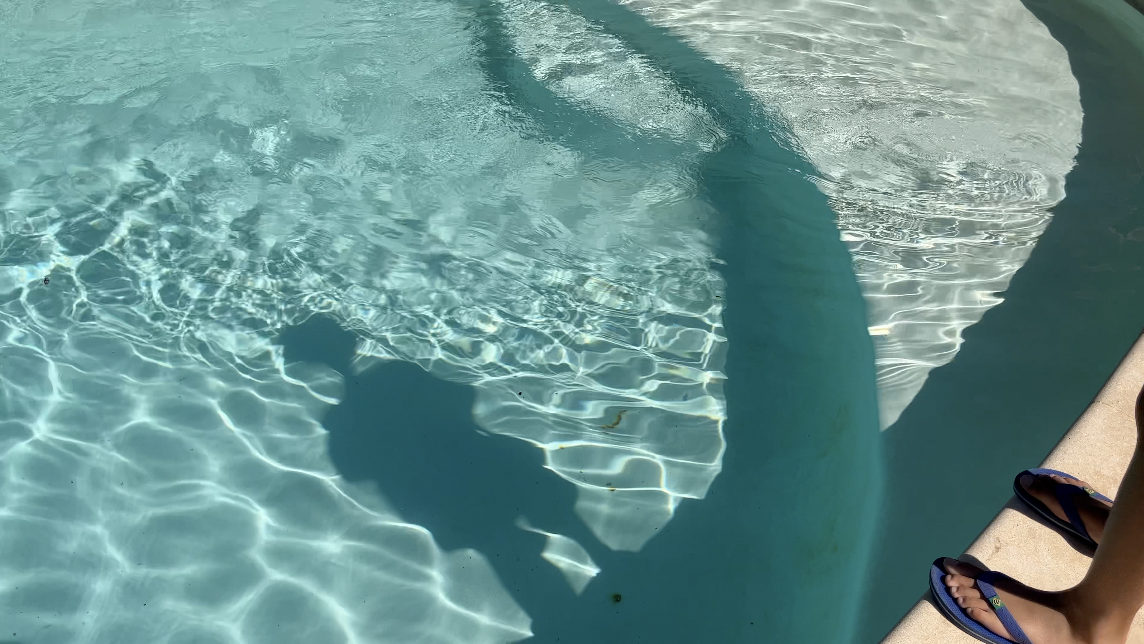 Screen Shot 2025-06-05 at 3.07.42 PM.png