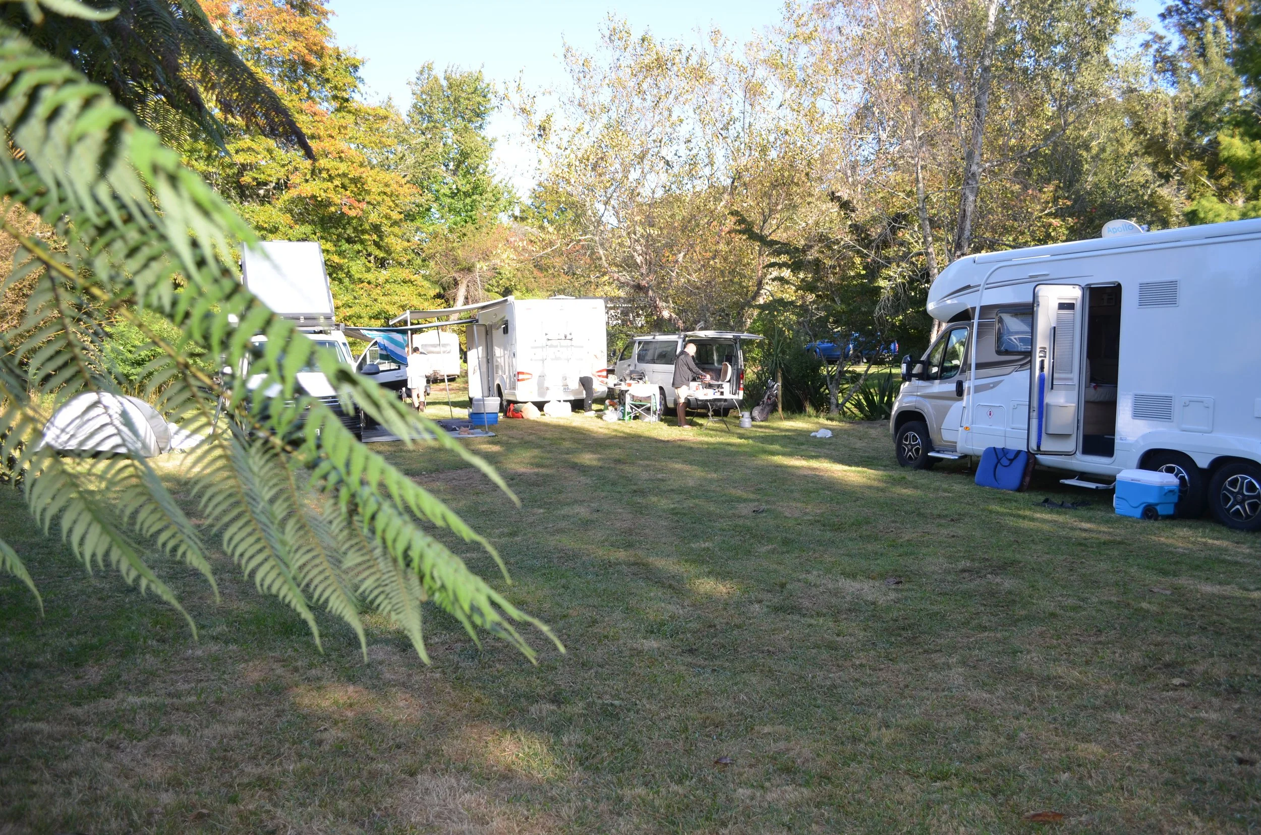 DSC_0312.JPG