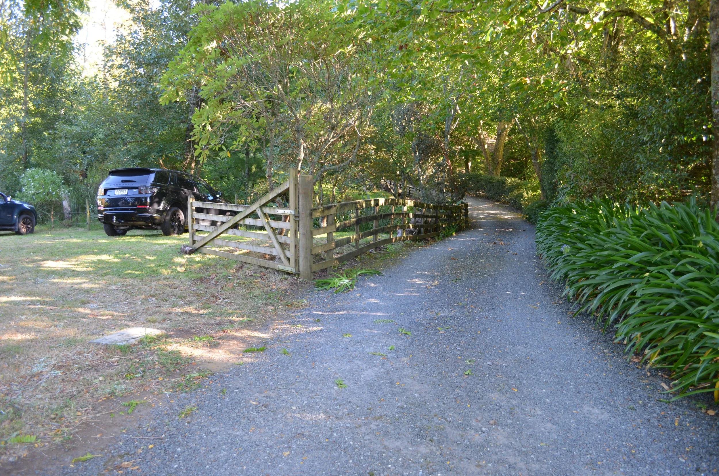 DSC_0309.JPG