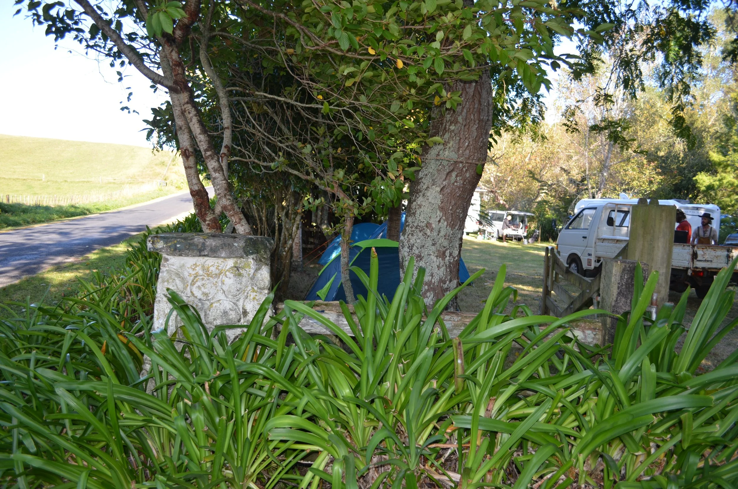 DSC_0306.JPG
