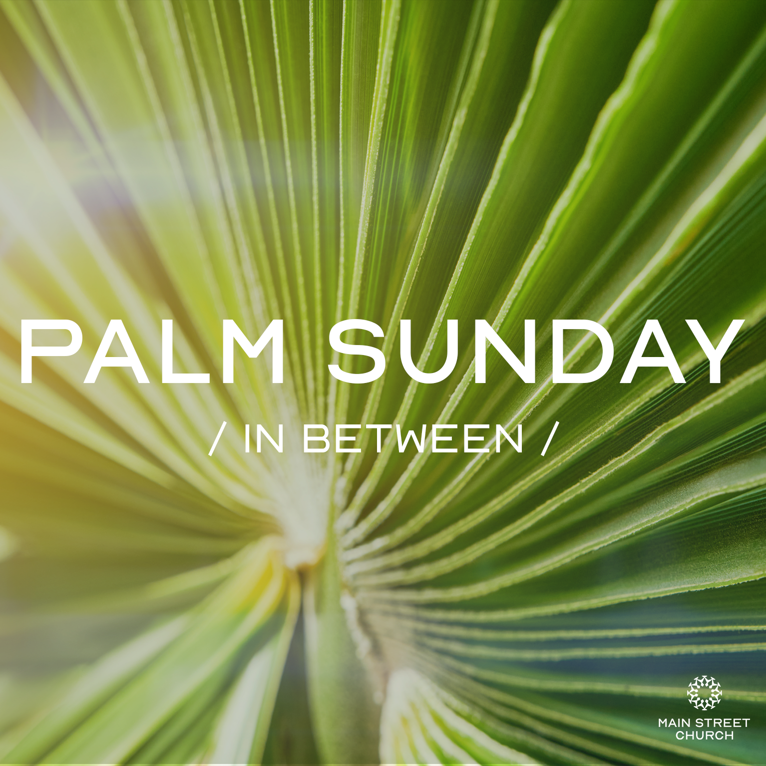 Palm Sunday: Matthew 21:1-13 | The King &amp; His Kingdom