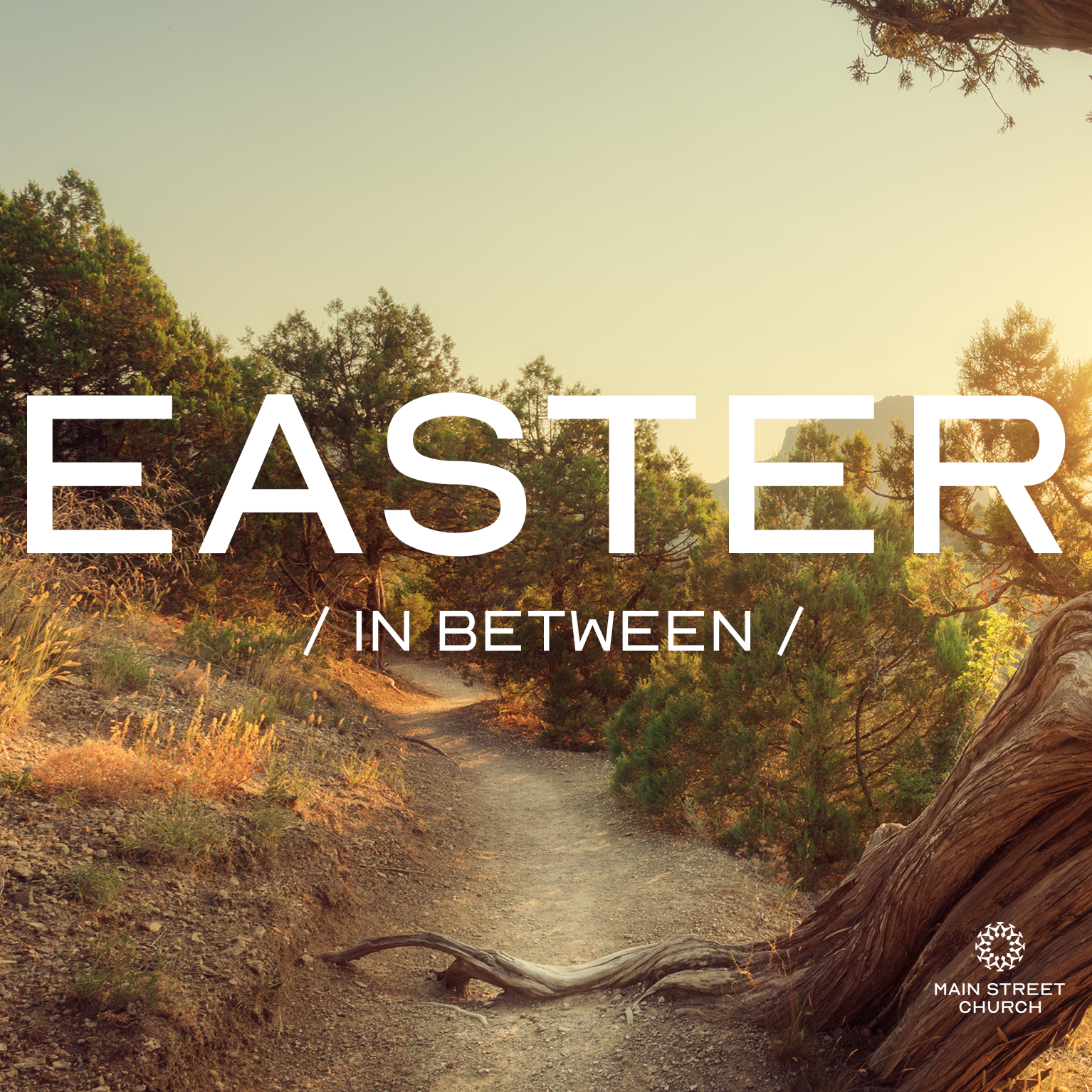 Easter Sunday: Matthew 28:1-10 | The King &amp; His Coronation 