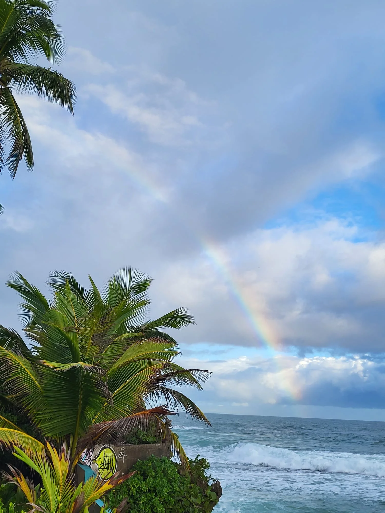 WhatsApp Image 2024-12-31 at 06.57.18.jpeg