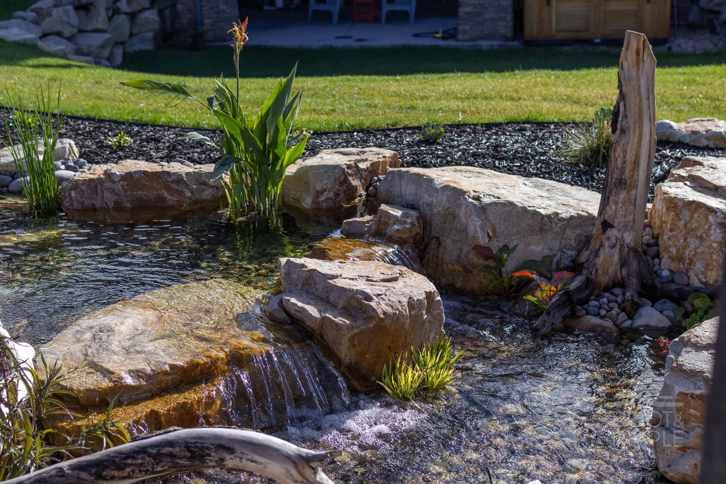 Rydalch_InteractiveStream-34.jpg
