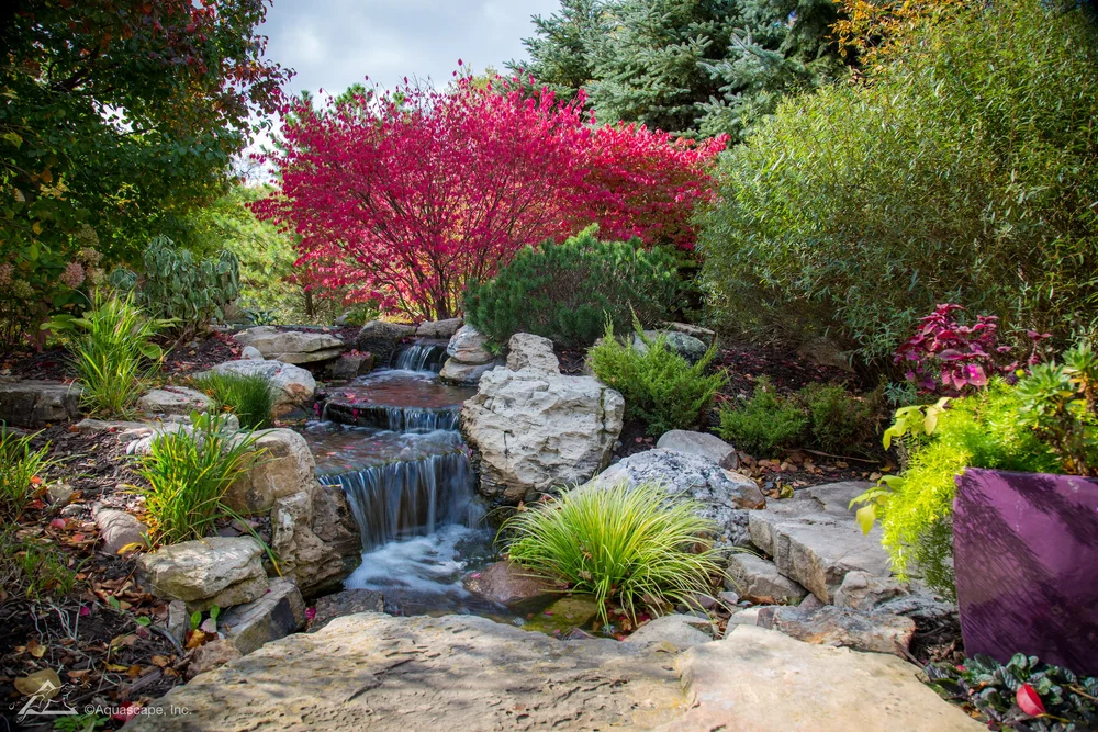 Waterfalls & Streams
