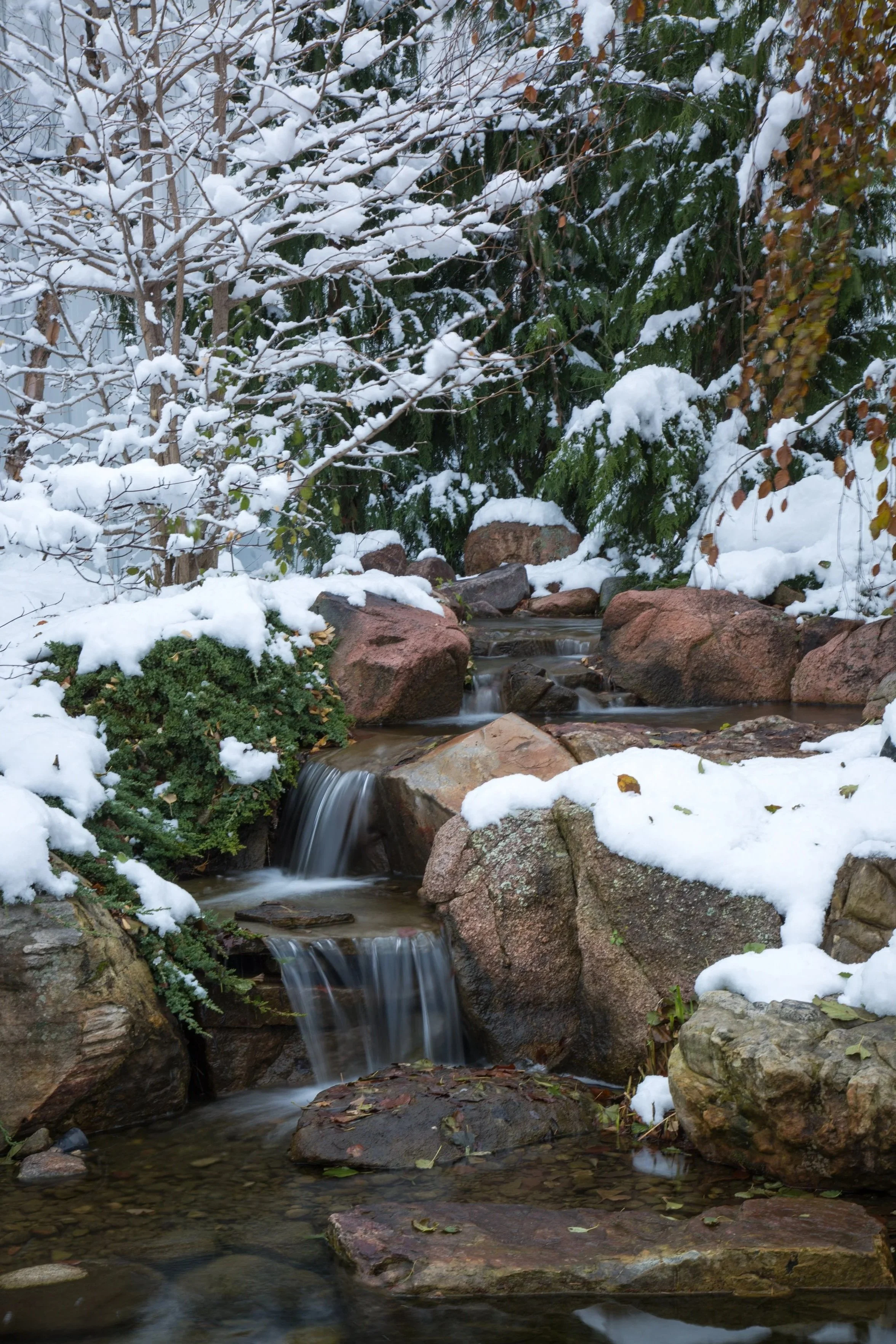 Water cascading over red-rock lichen boulders with snow covered trees and greenery poking through.