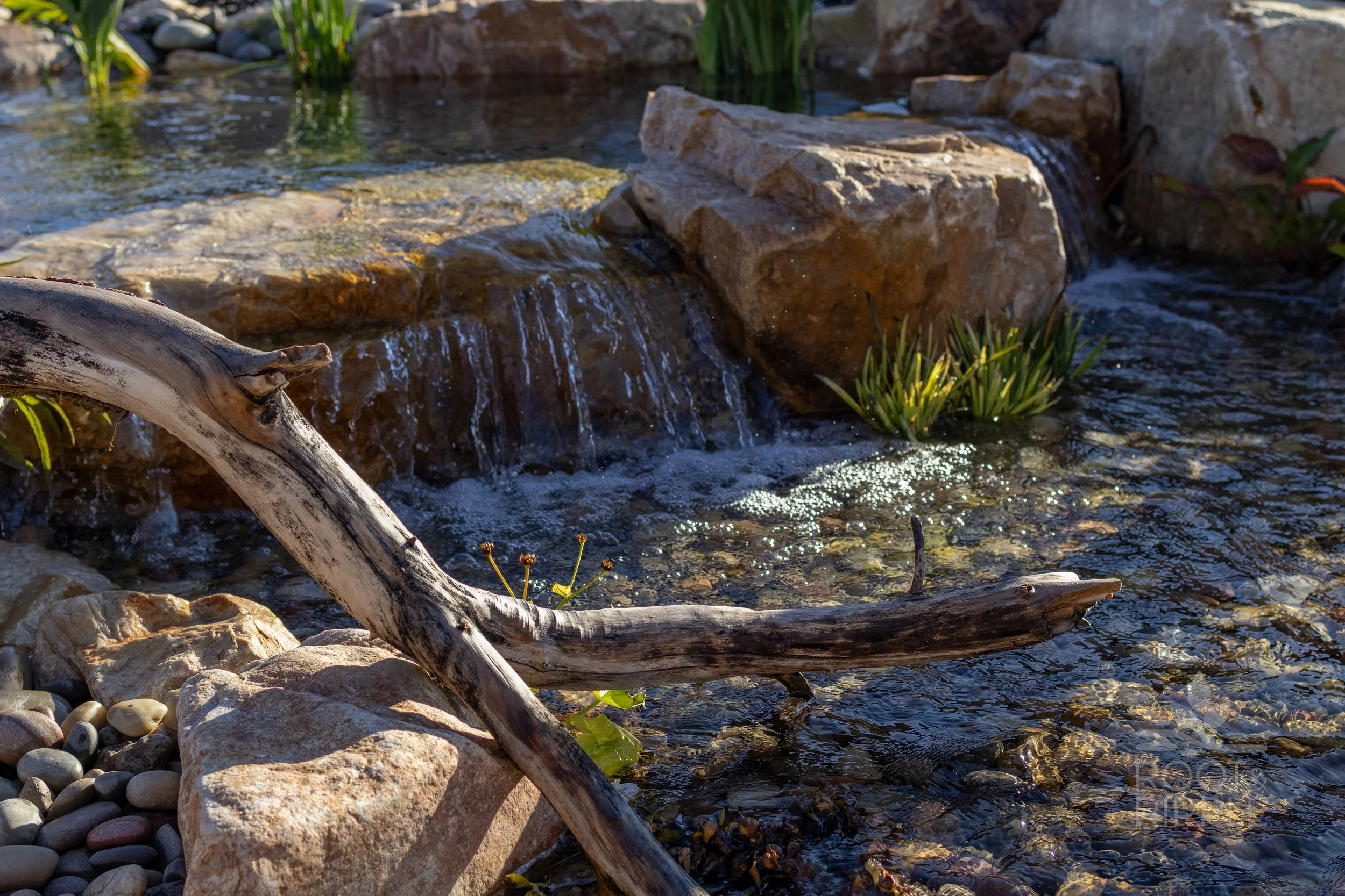 Rydalch_InteractiveStream-07.jpg