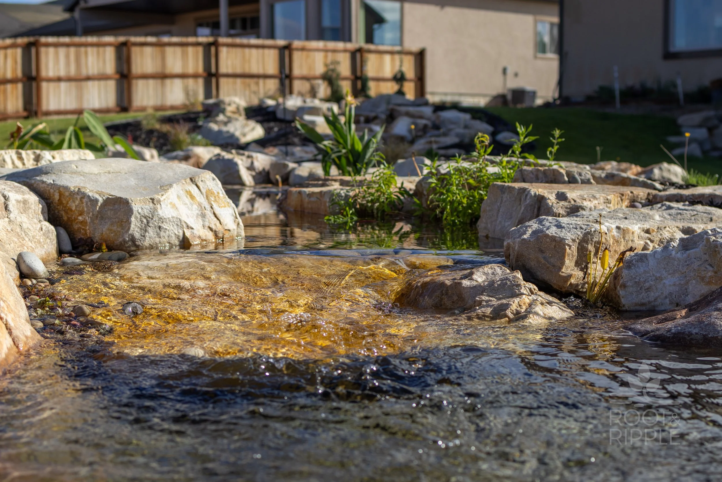 Rydalch_InteractiveStream-02.jpg