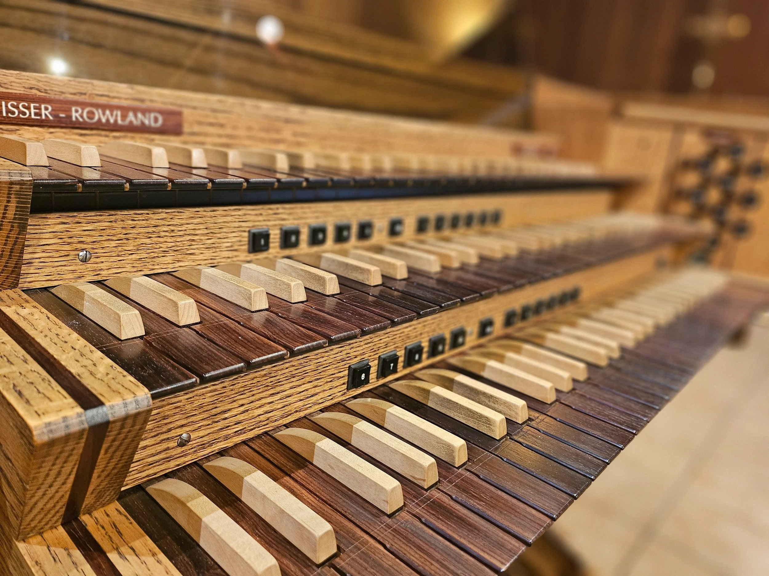 Christ Church organ