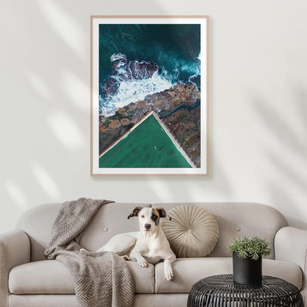 img_9762_841-x-1189mm-a0_50mm_australian-oak-slim_interior-dog-on-sofa.jpg