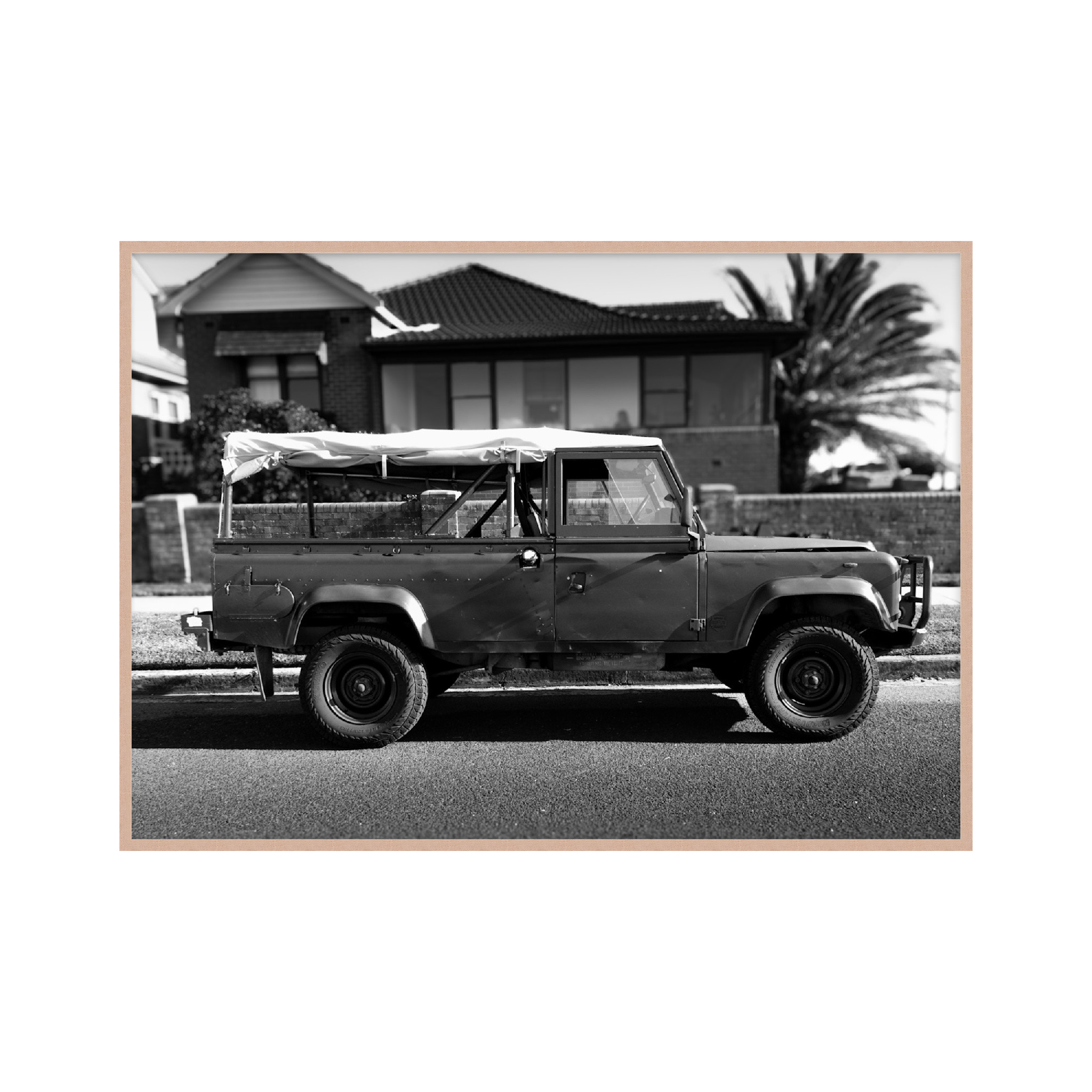 Landy Oak Mega.png