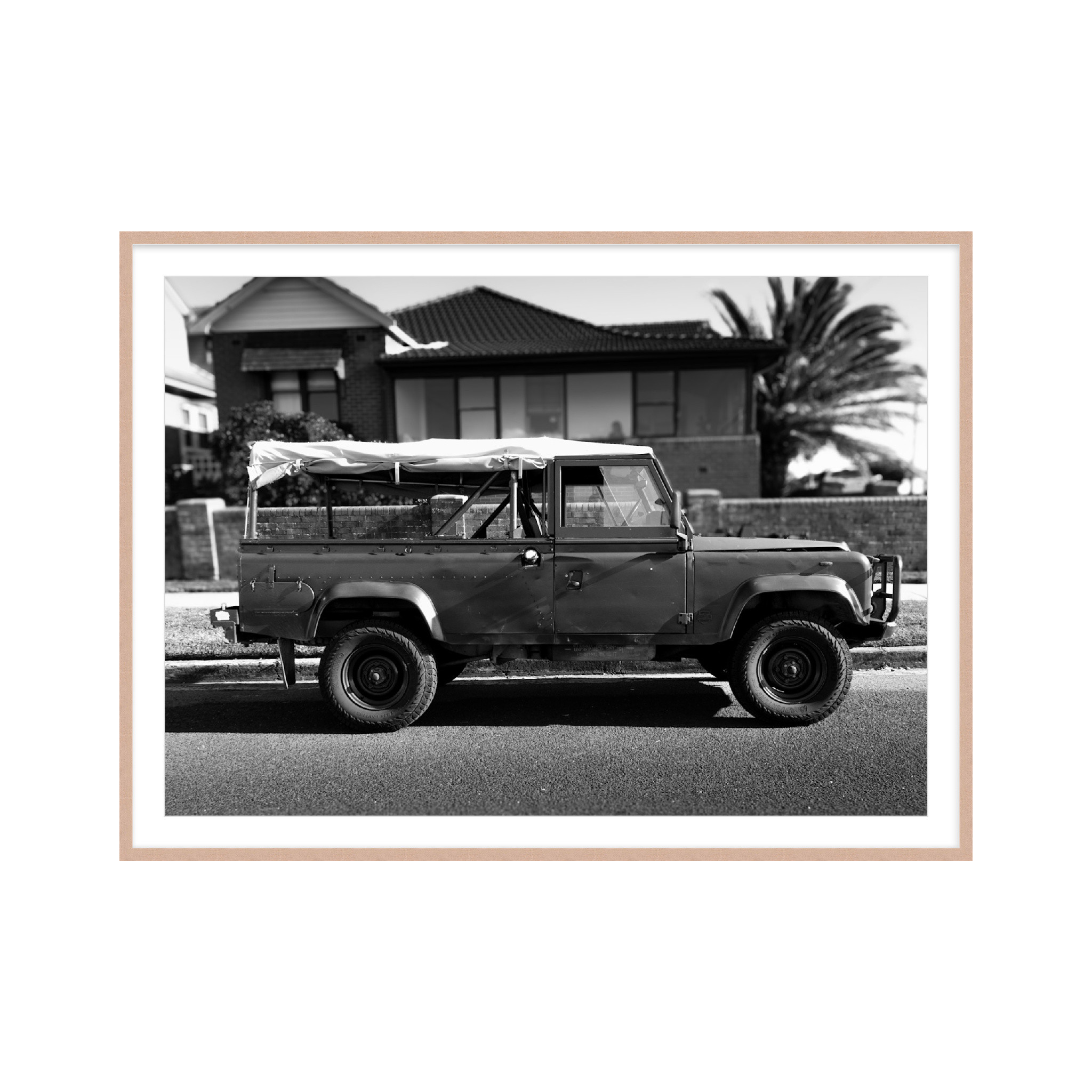 Landy Oak_.png