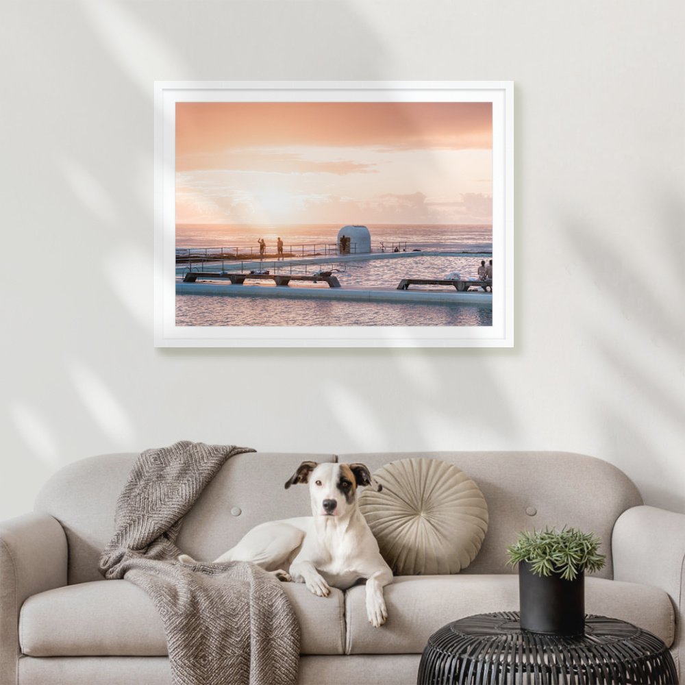 img_6977_1189-x-841mm-a0_50mm_lennon_interior-dog-on-sofa.jpg
