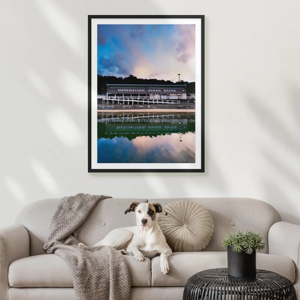 img_6639_841-x-1189mm-a0_50mm_zeppelin_interior-dog-on-sofa.jpg