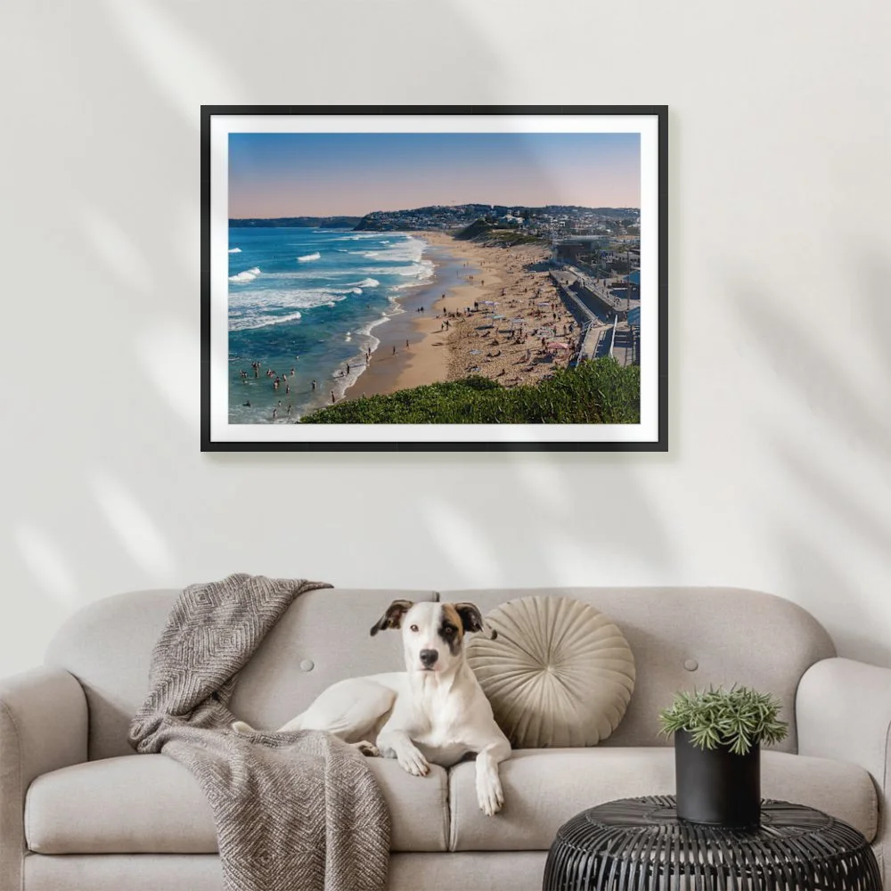 packed-bar-pf_1189-x-841mm-a0_50mm_zeppelin_interior-dog-on-sofa.jpg