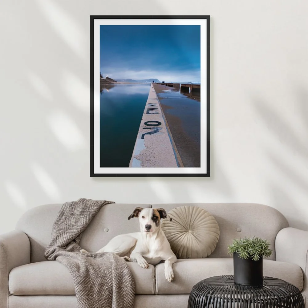 no-diving-pf_841-x-1189mm-a0_50mm_zeppelin_interior-dog-on-sofa.jpg