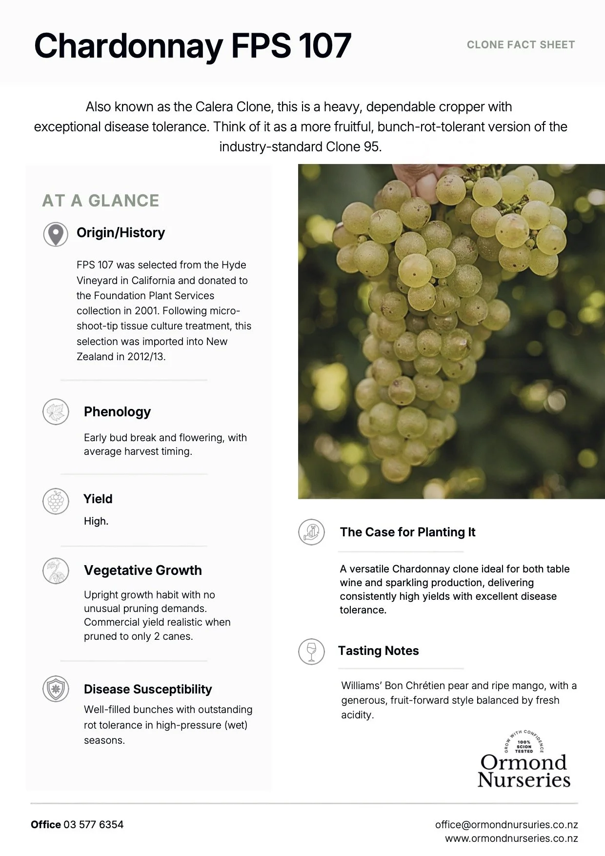 Chardonnay 107 Clone Fact Sheet